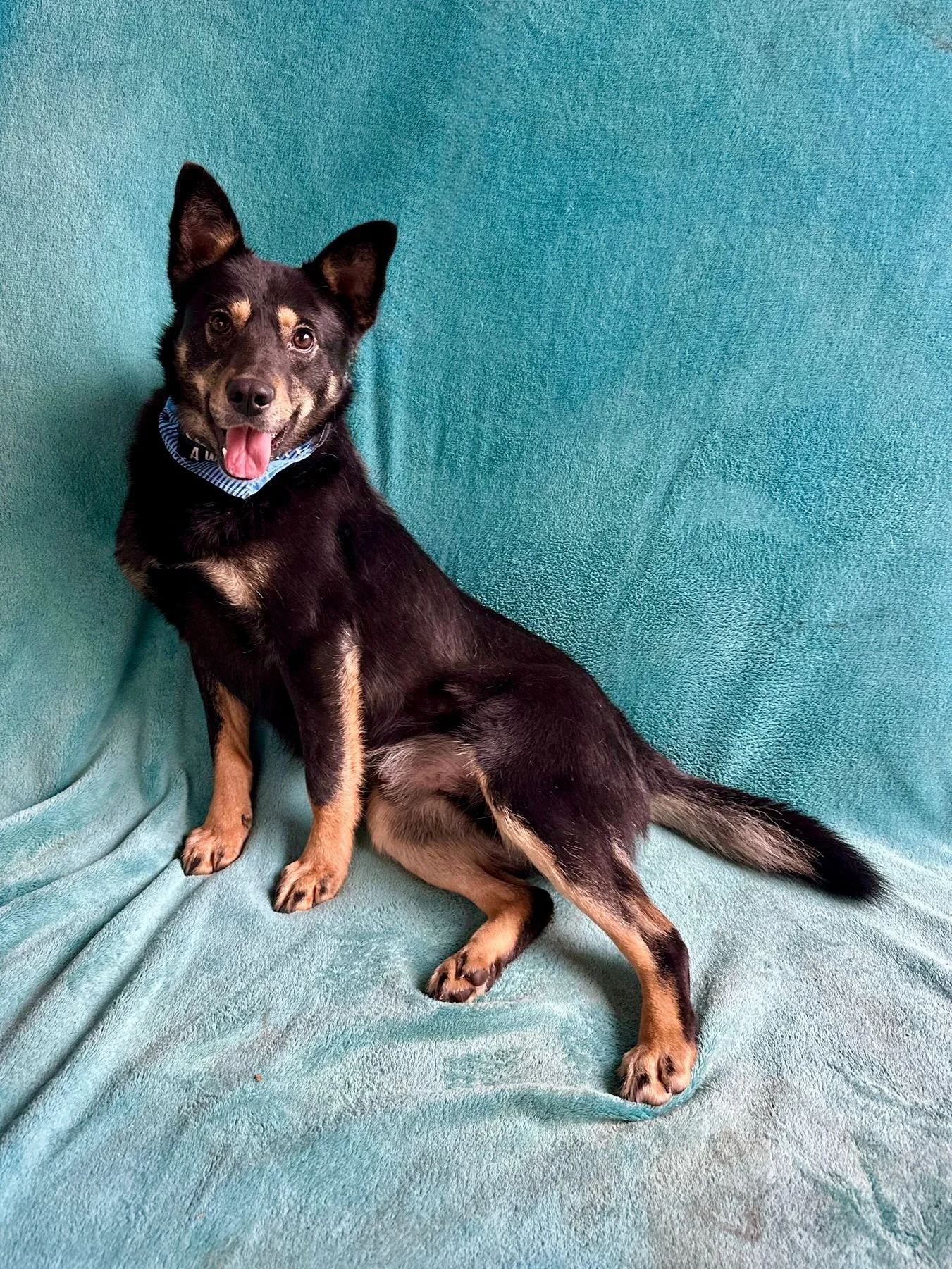 WhatsApp Image 2026-01-01 at 13.24.56.jpeg