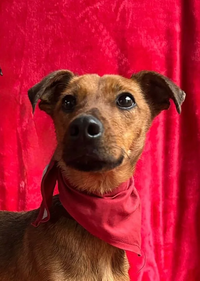 WhatsApp Image 2026-01-03 at 11.24.25 (2).jpeg