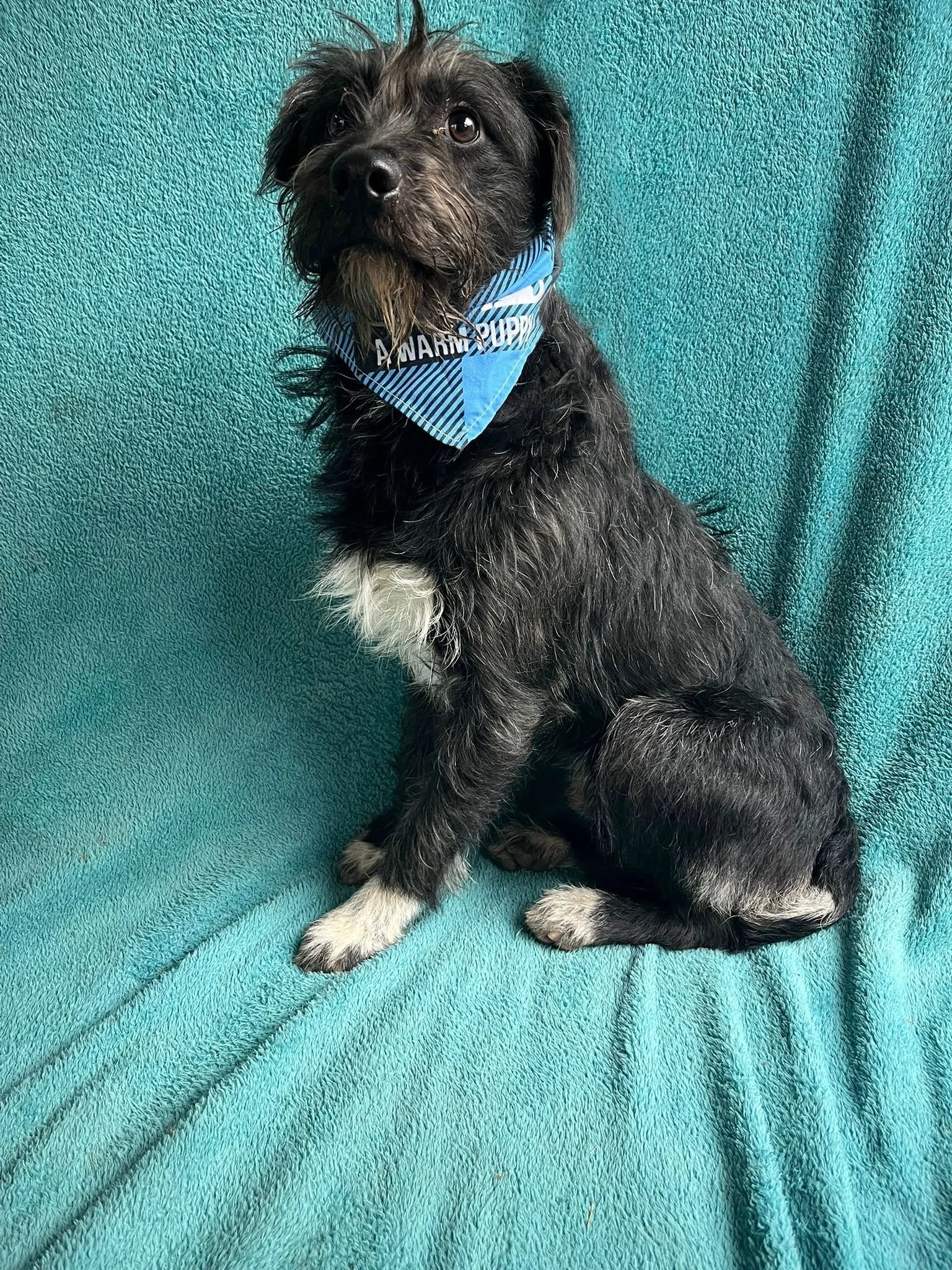 WhatsApp Image 2026-01-03 at 13.03.47.jpeg