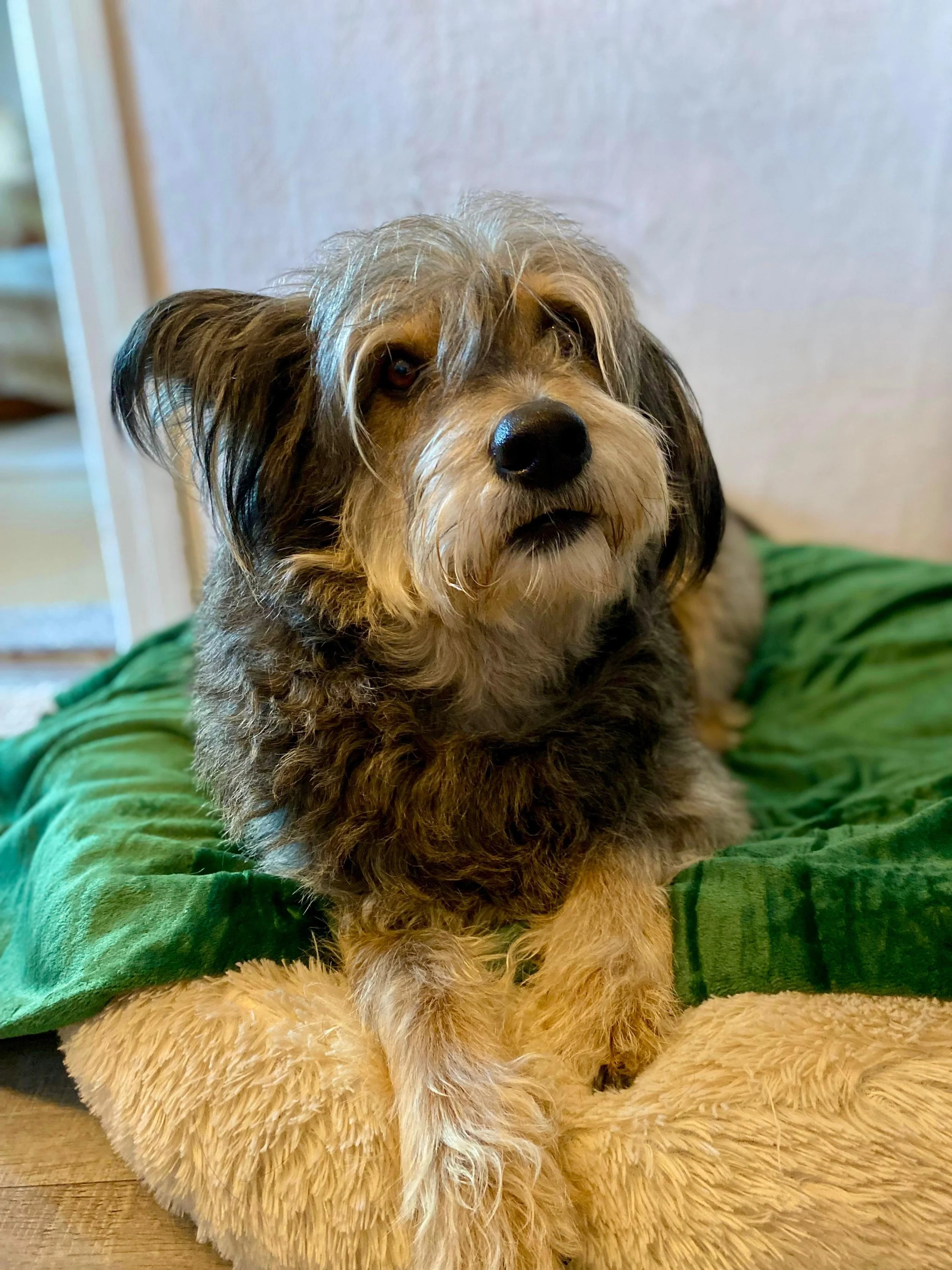 WhatsApp Image 2026-01-10 at 12.02.48.jpeg