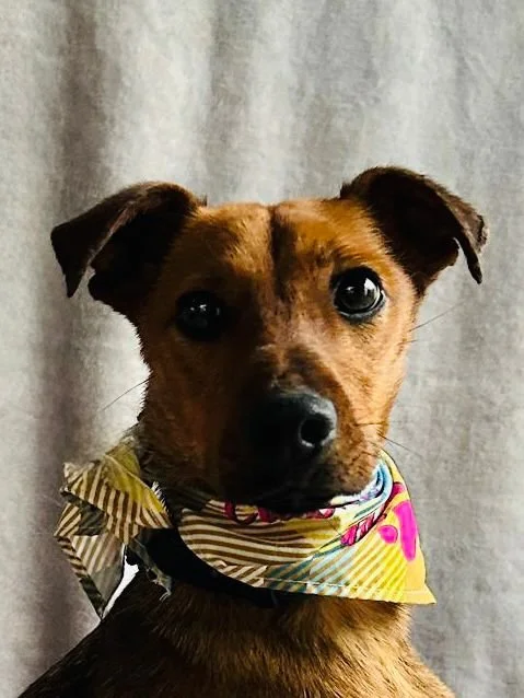 WhatsApp Image 2026-01-03 at 11.24.30.jpeg