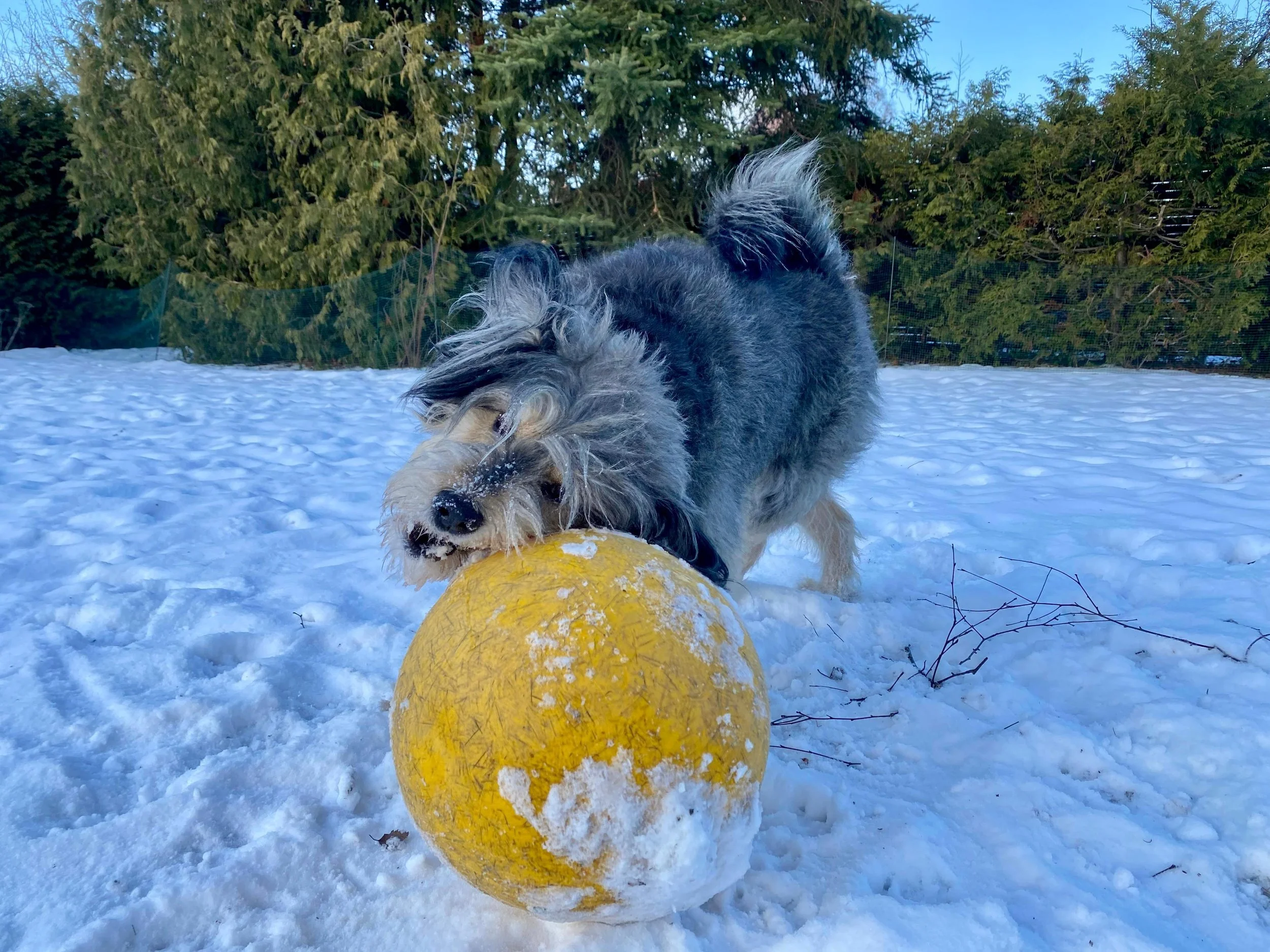 WhatsApp Image 2026-01-10 at 12.02.48 (4).jpeg