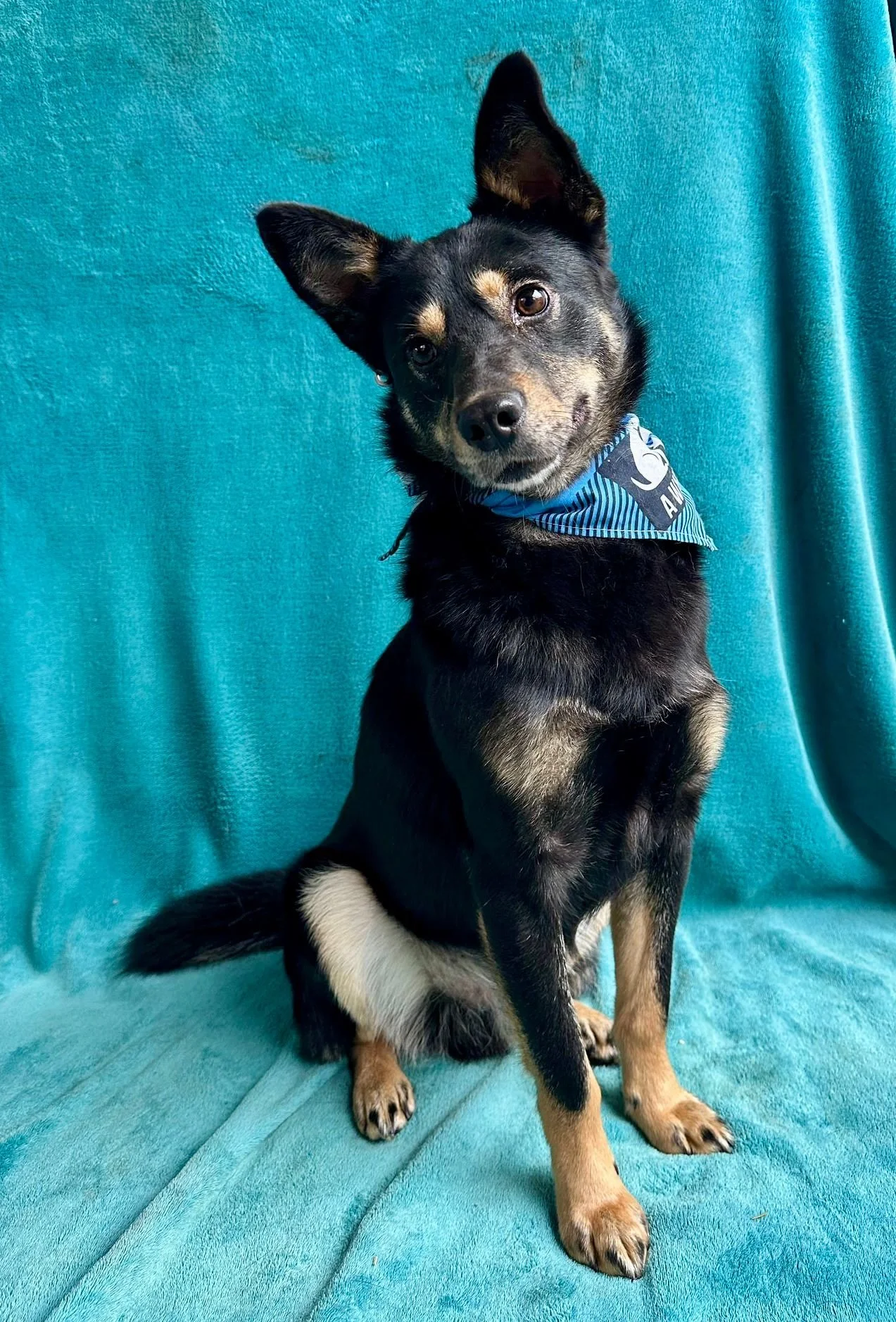 WhatsApp Image 2026-01-01 at 13.24.53 (1).jpeg