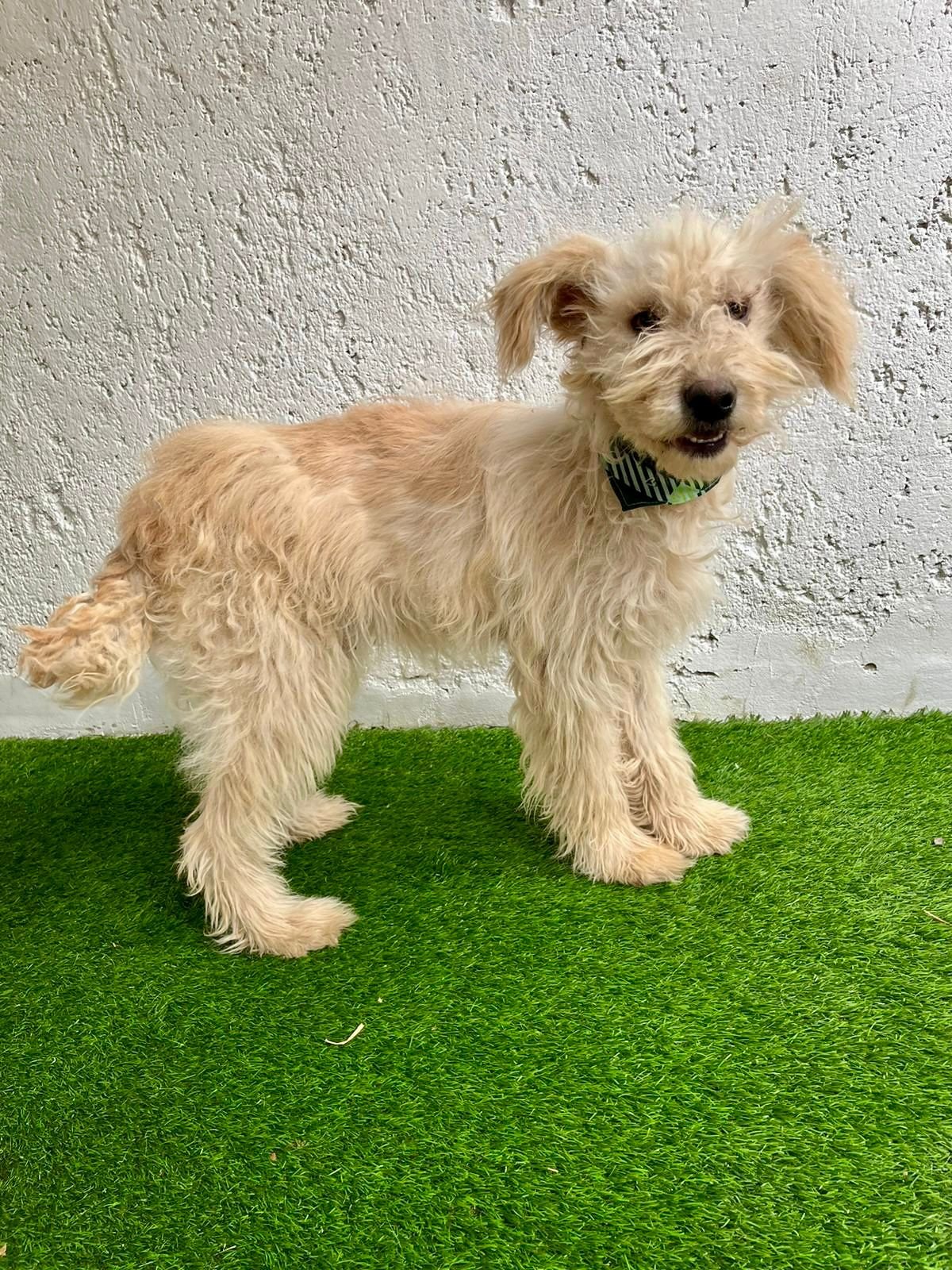 WhatsApp Image 2025-10-31 at 10.04.32 (1).jpeg