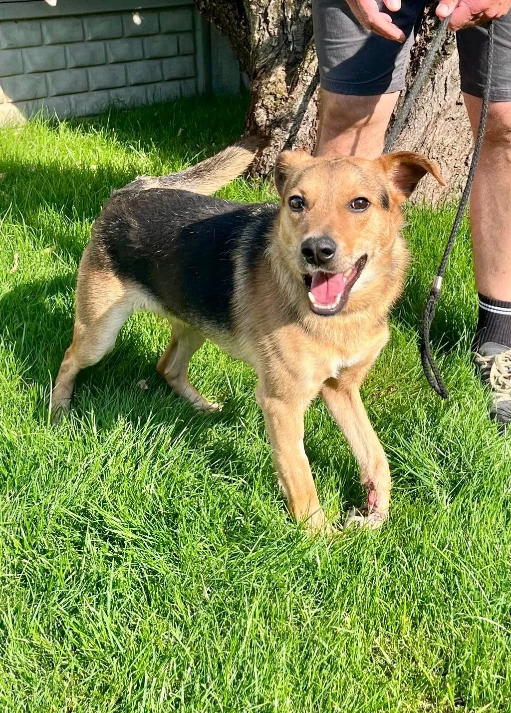 Benny