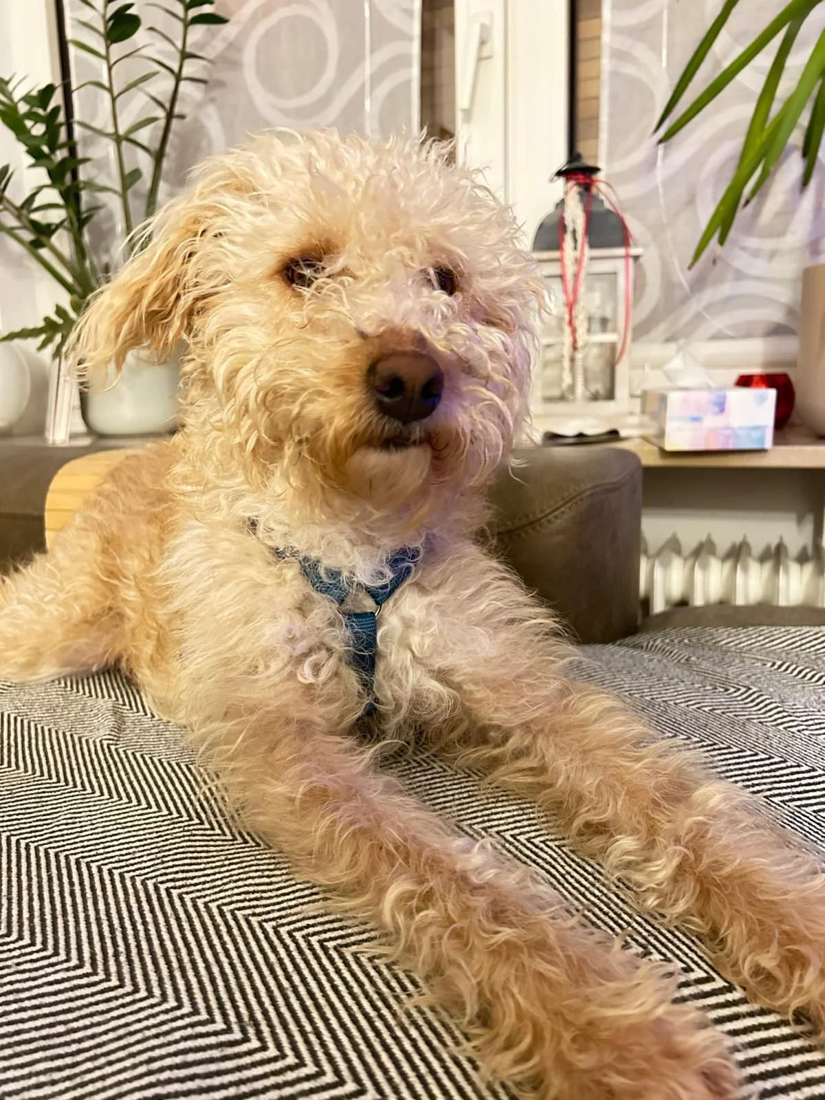 WhatsApp Image 2025-12-31 at 11.04.32 (1).jpeg