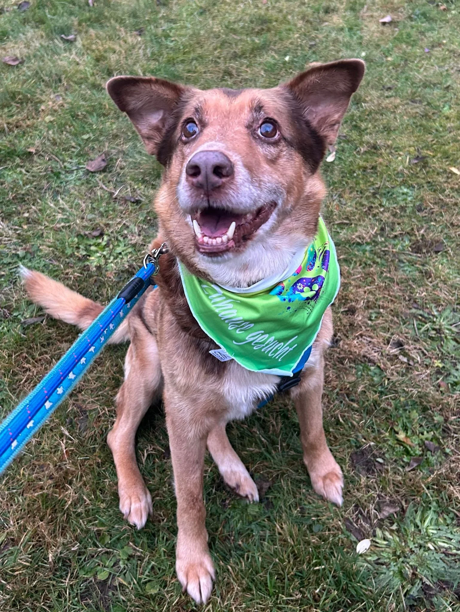 WhatsApp Image 2026-01-23 at 15.35.32 (2).jpeg