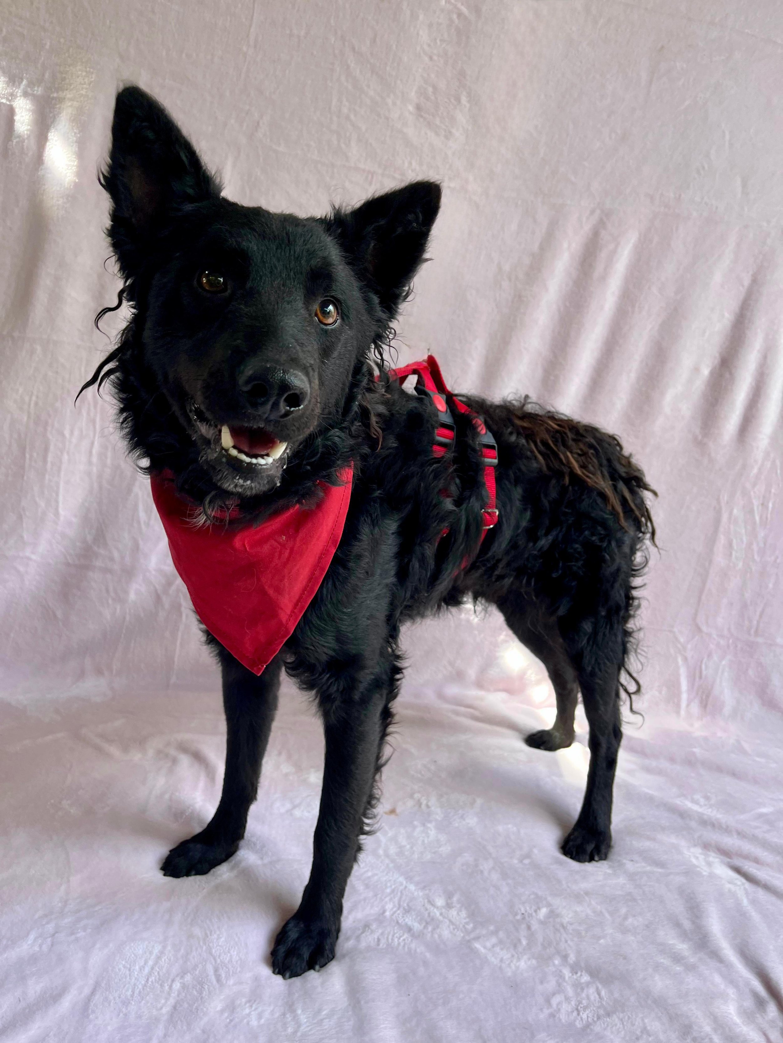 WhatsApp Image 2025-10-28 at 16.52.56 (1).jpeg