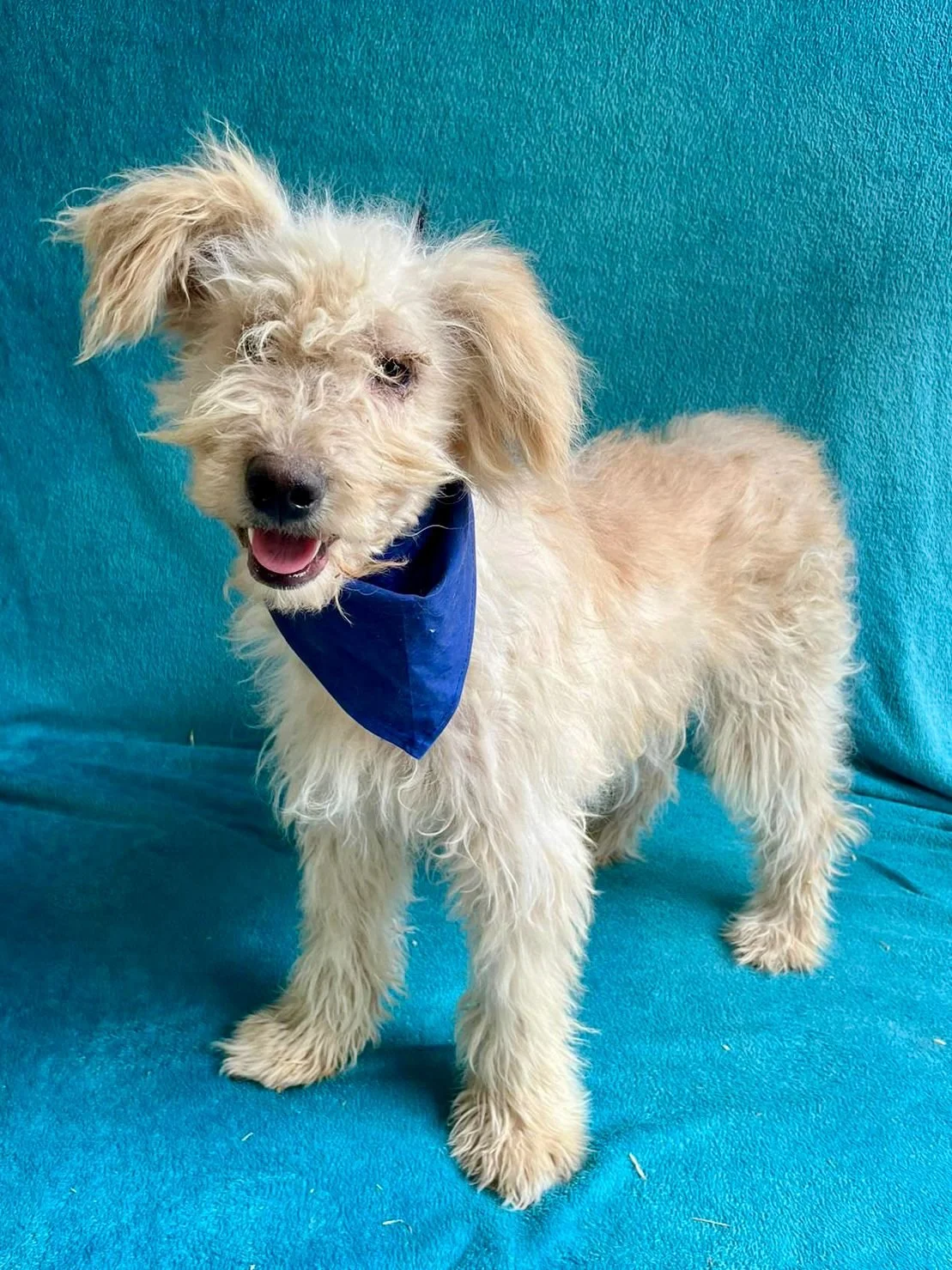 WhatsApp Image 2025-10-31 at 10.04.22.jpeg