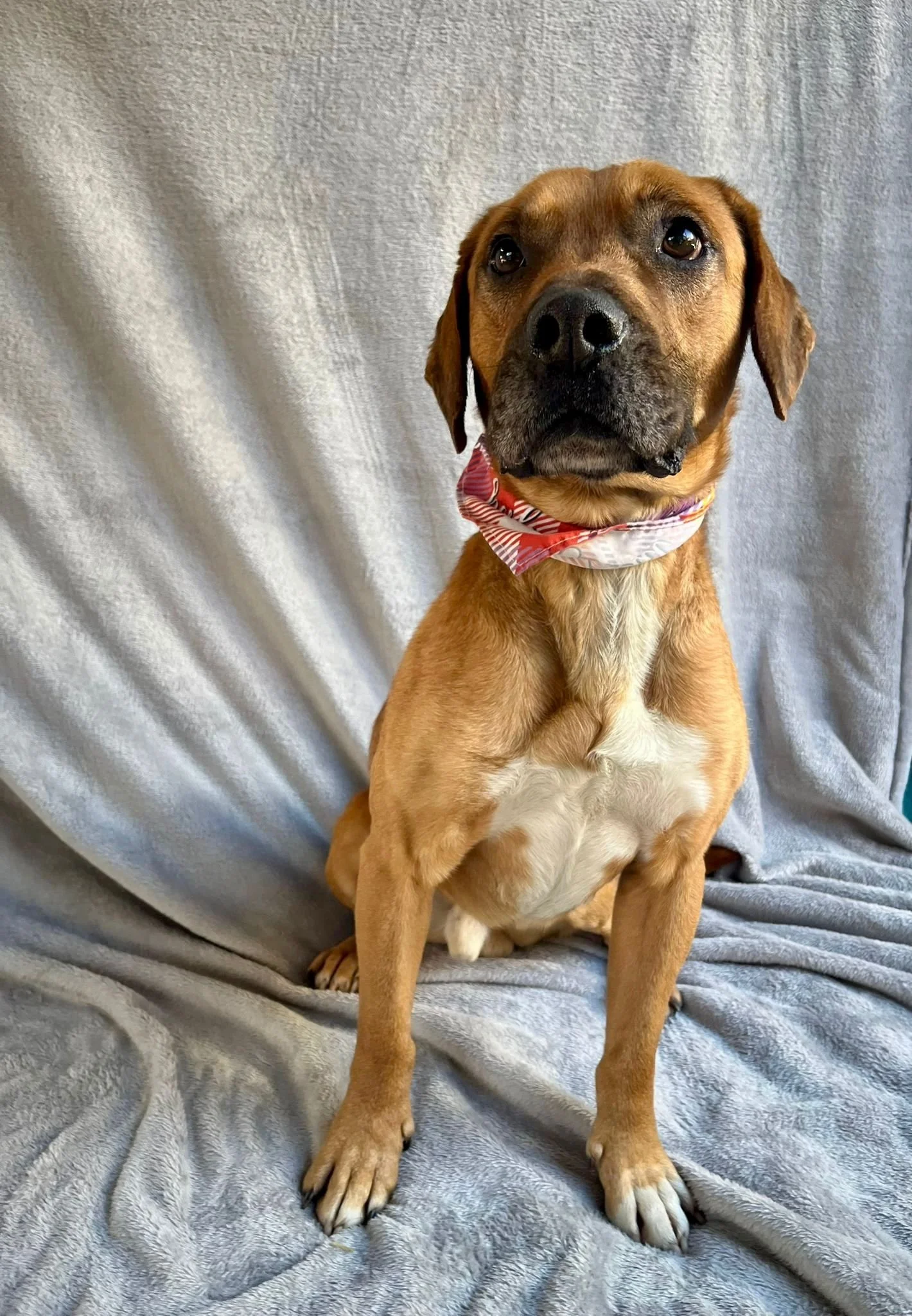 WhatsApp Image 2026-01-10 at 15.07.55 (2).jpeg