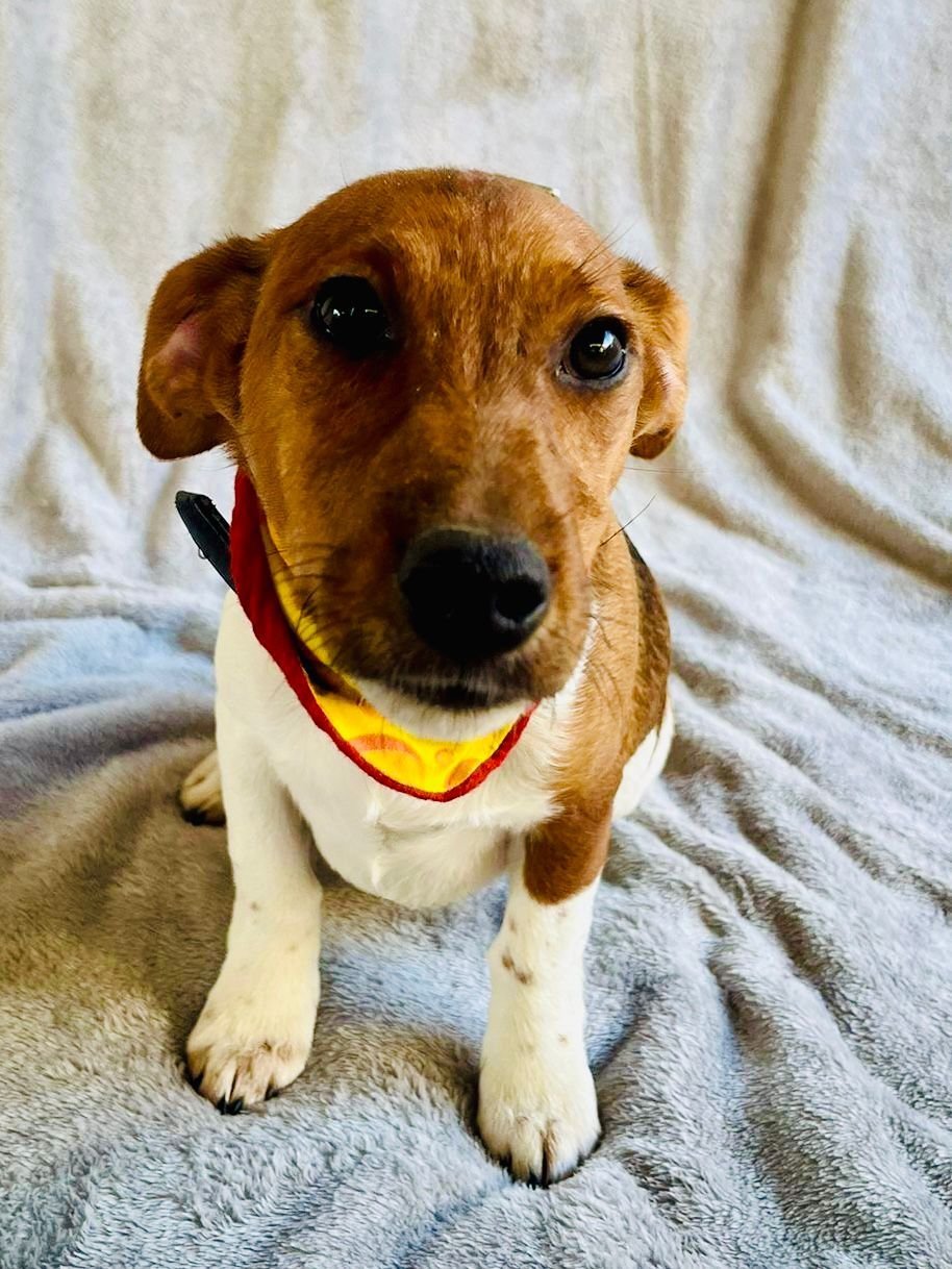 WhatsApp Image 2026-01-01 at 11.31.54 (2).jpeg