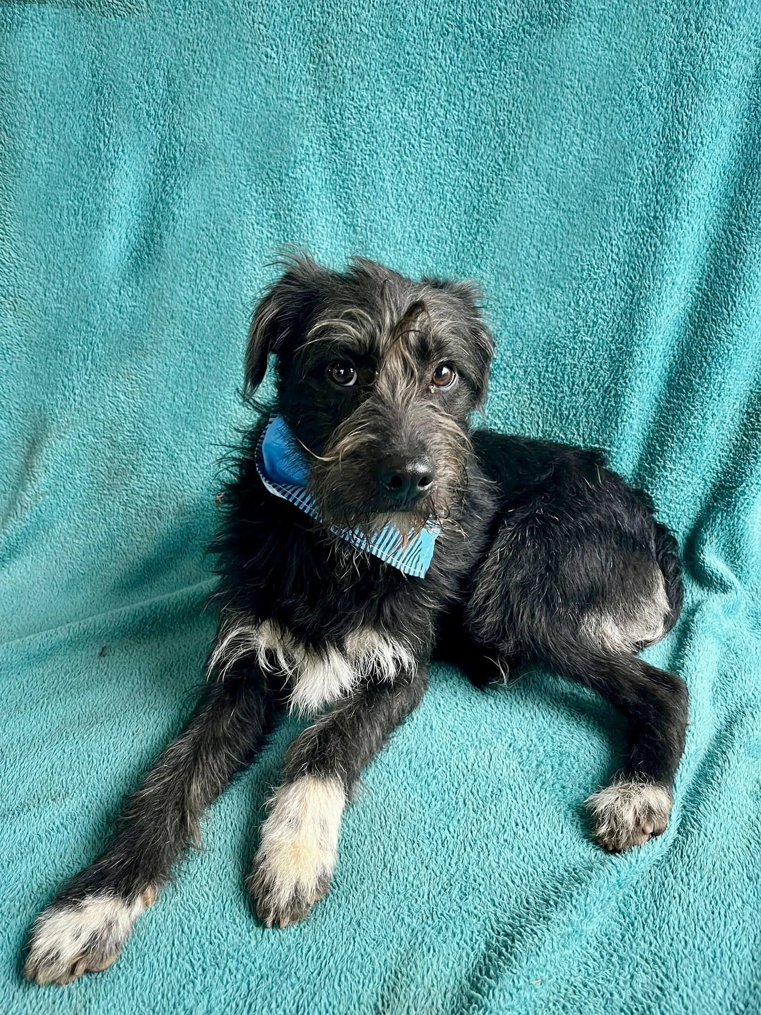 WhatsApp Image 2026-01-03 at 13.03.43 (2).jpeg