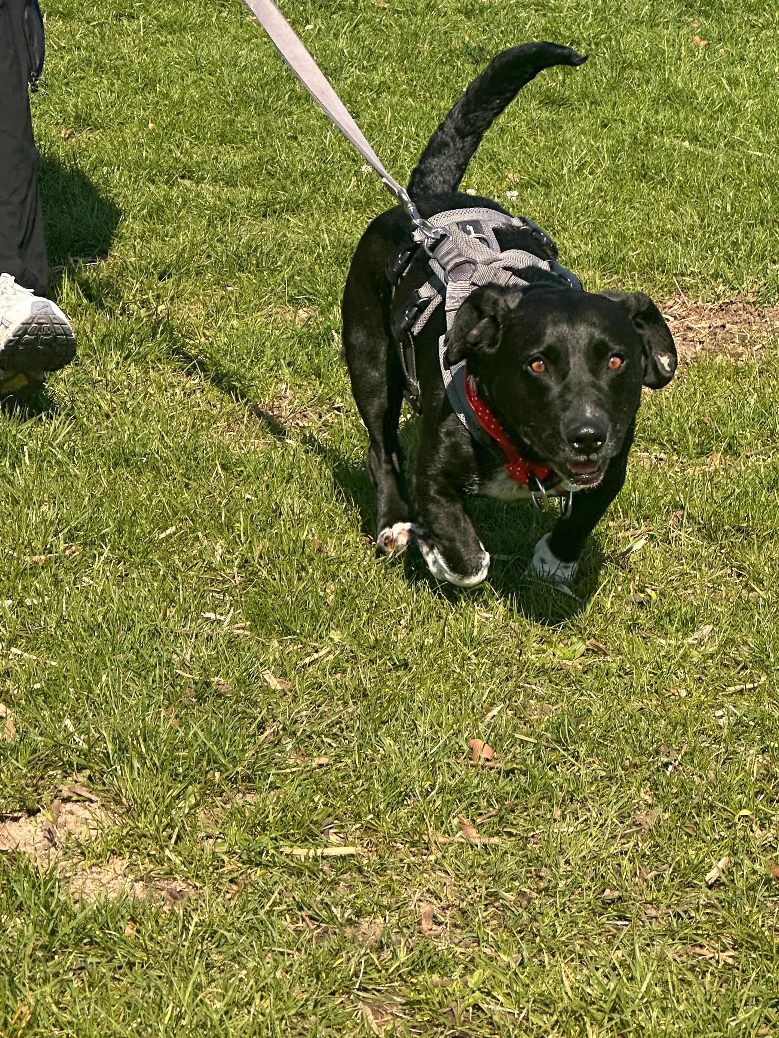 e6f75749-f3a9-478e-8918-612b807d6594.jpeg
