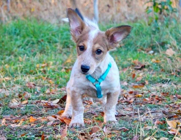 WhatsApp Image 2025-11-18 at 09.53.28.jpeg