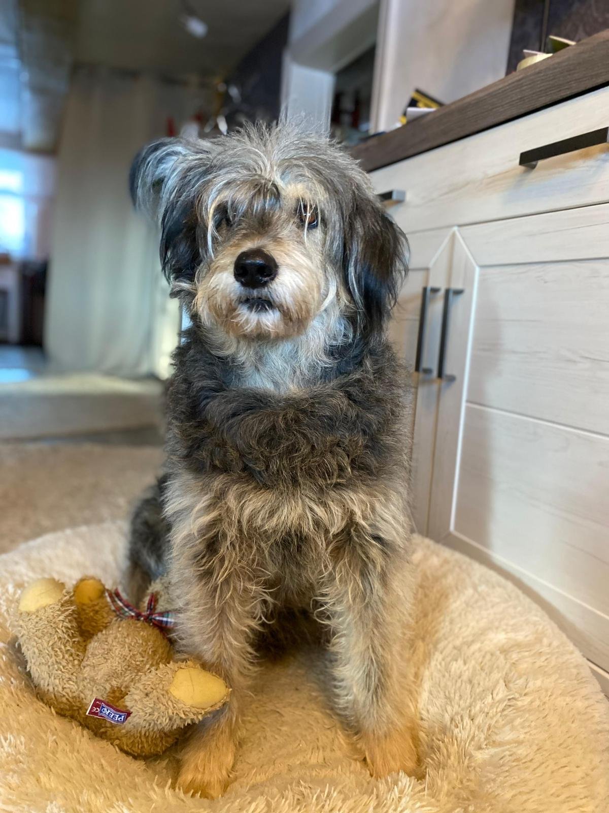 WhatsApp Image 2026-01-10 at 12.02.49 (2).jpeg