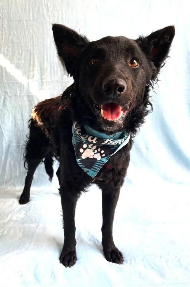 WhatsApp Image 2025-10-28 at 16.52.53 (1).jpeg