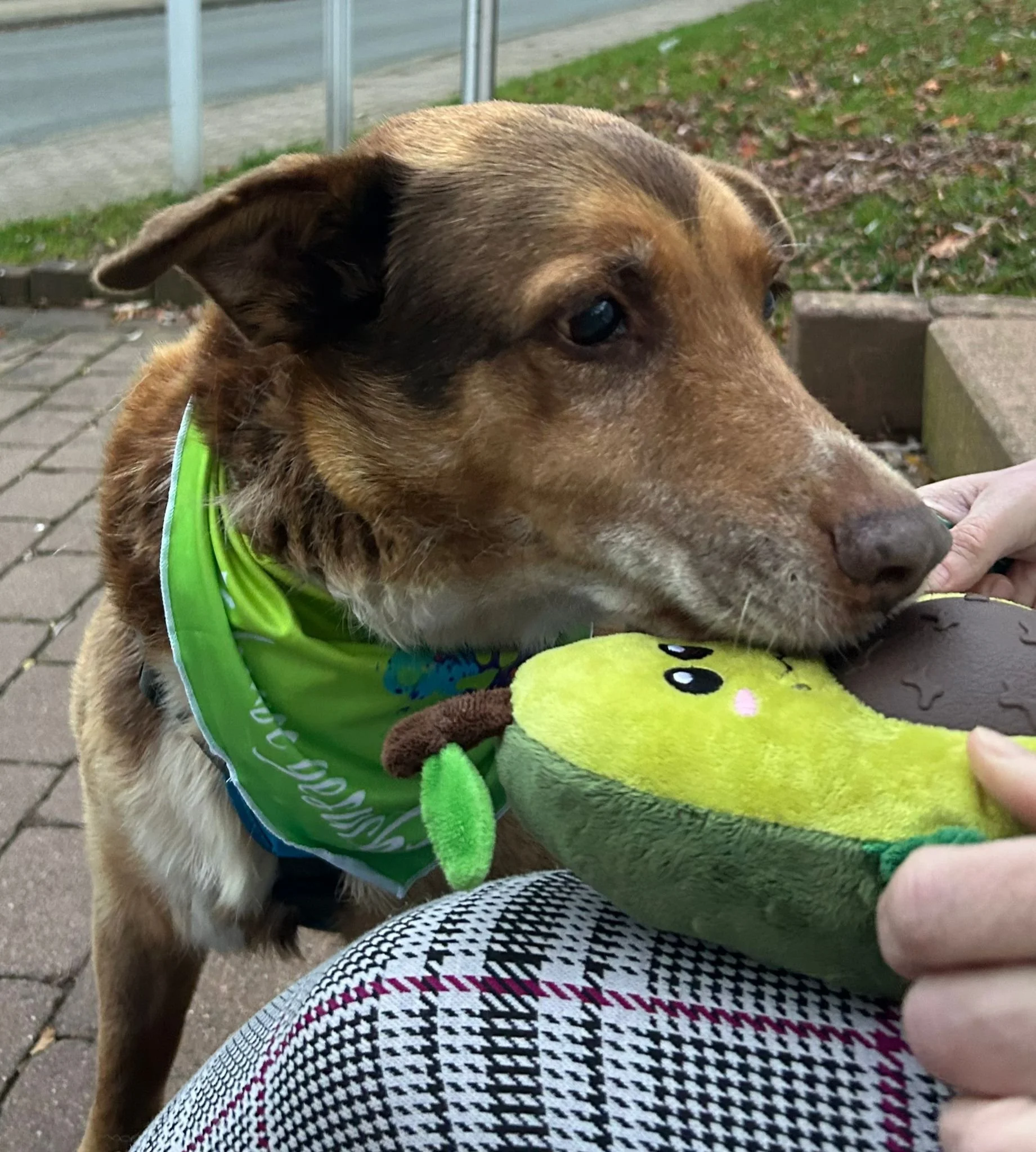 WhatsApp Image 2026-01-23 at 15.35.33.jpeg