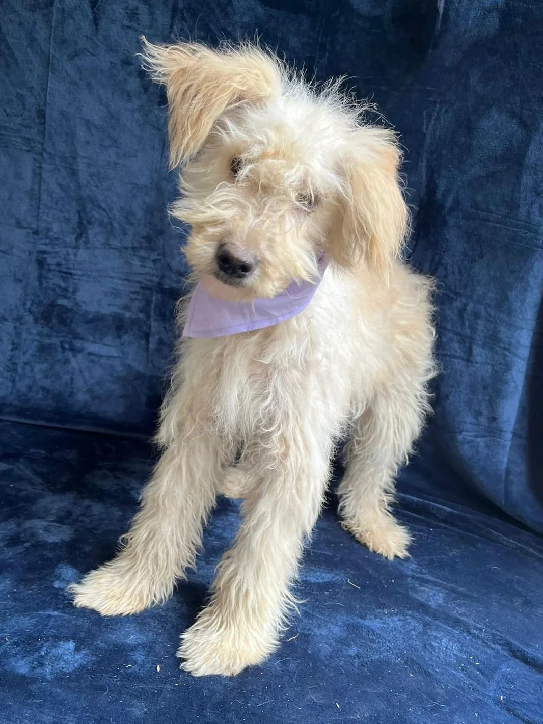 WhatsApp Image 2025-10-31 at 10.04.29 (1).jpeg