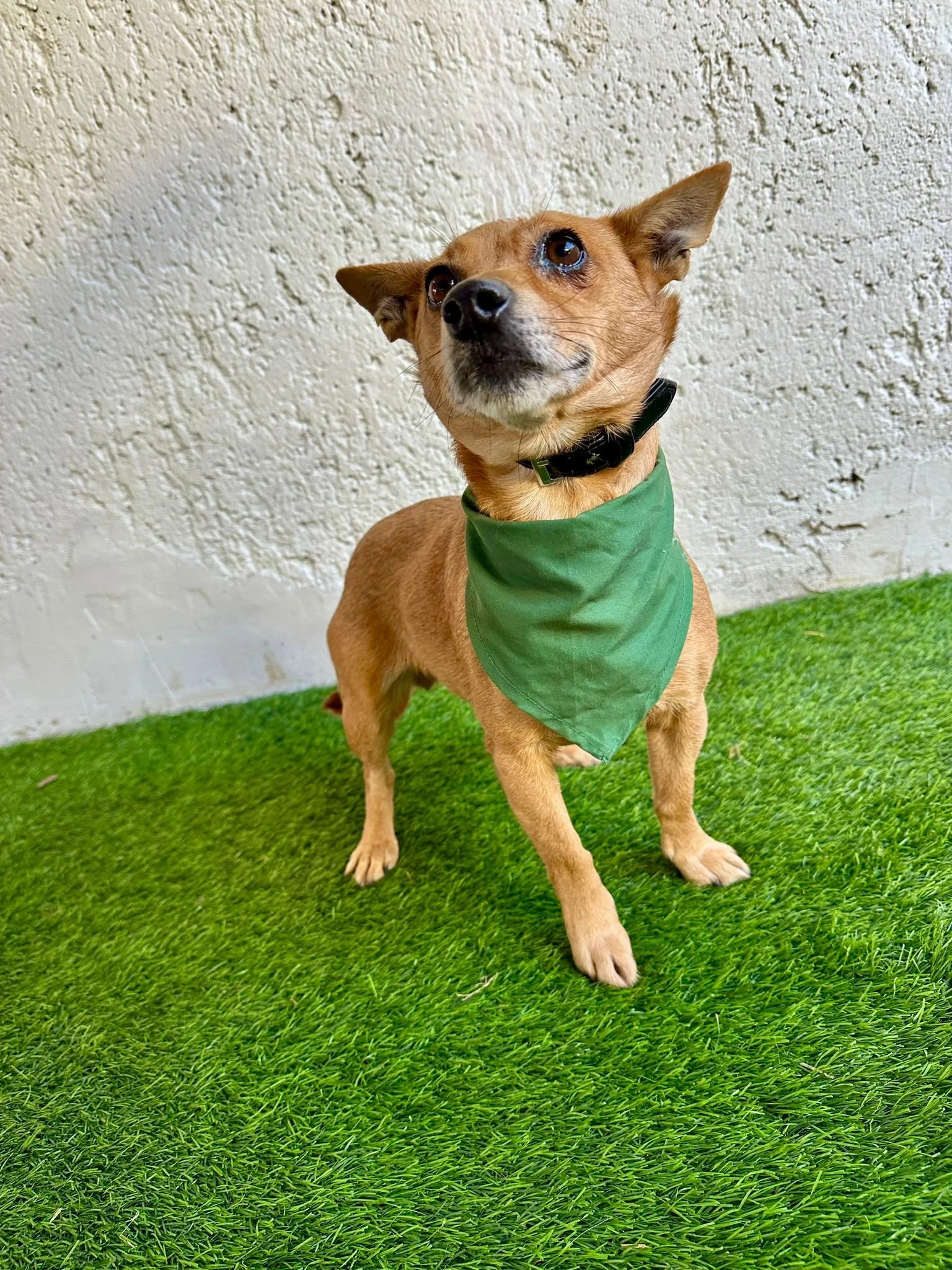 WhatsApp Image 2026-01-01 at 11.58.59 (1).jpeg