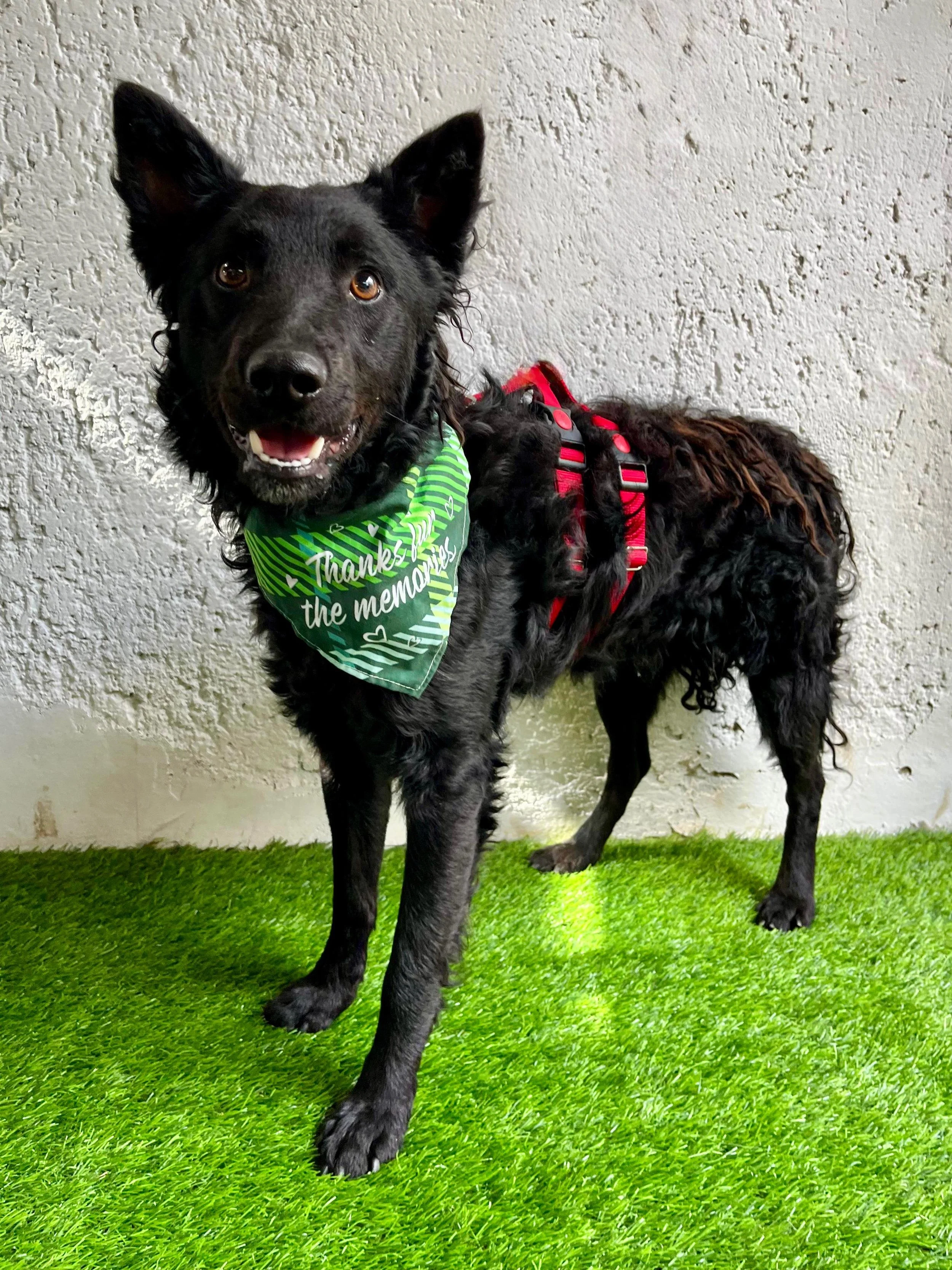 WhatsApp Image 2025-10-28 at 16.52.56 (2).jpeg