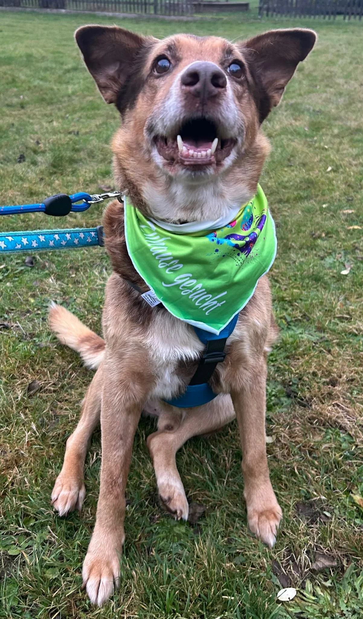 WhatsApp Image 2026-01-23 at 15.35.32.jpeg