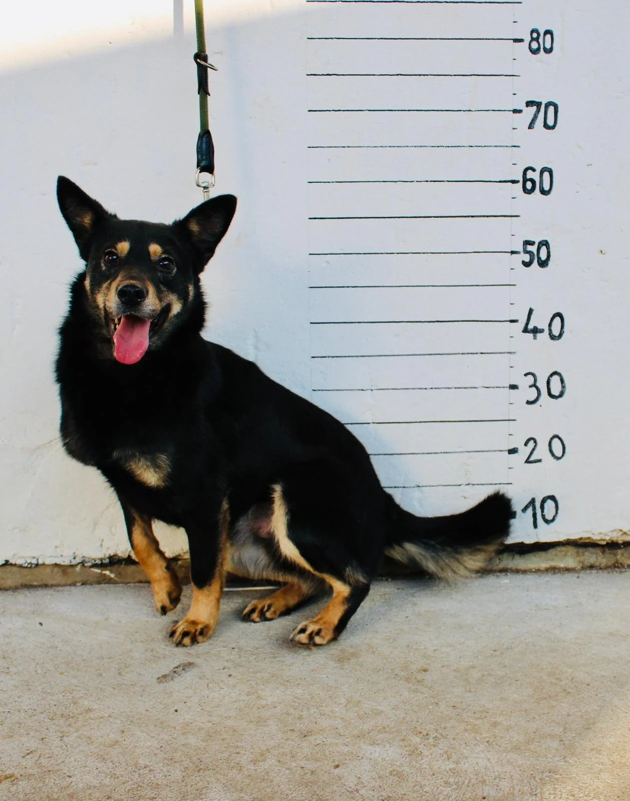 WhatsApp Image 2026-01-01 at 13.24.52.jpeg