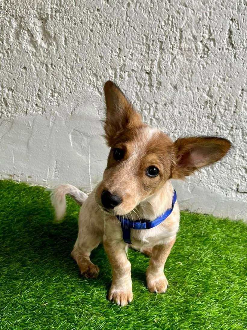 WhatsApp Image 2025-11-18 at 09.53.26 (2).jpeg