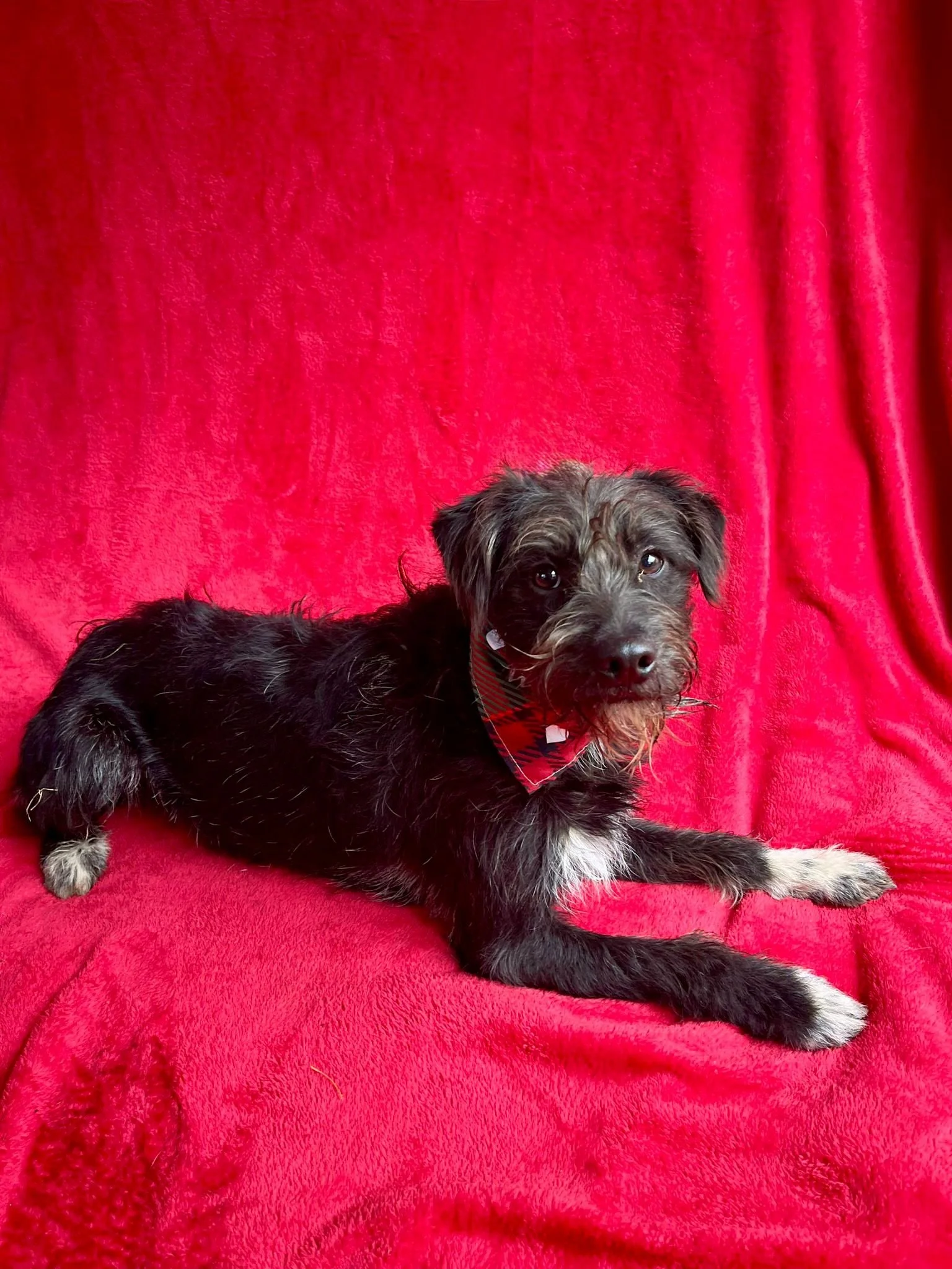 WhatsApp Image 2026-01-03 at 13.03.45 (1).jpeg