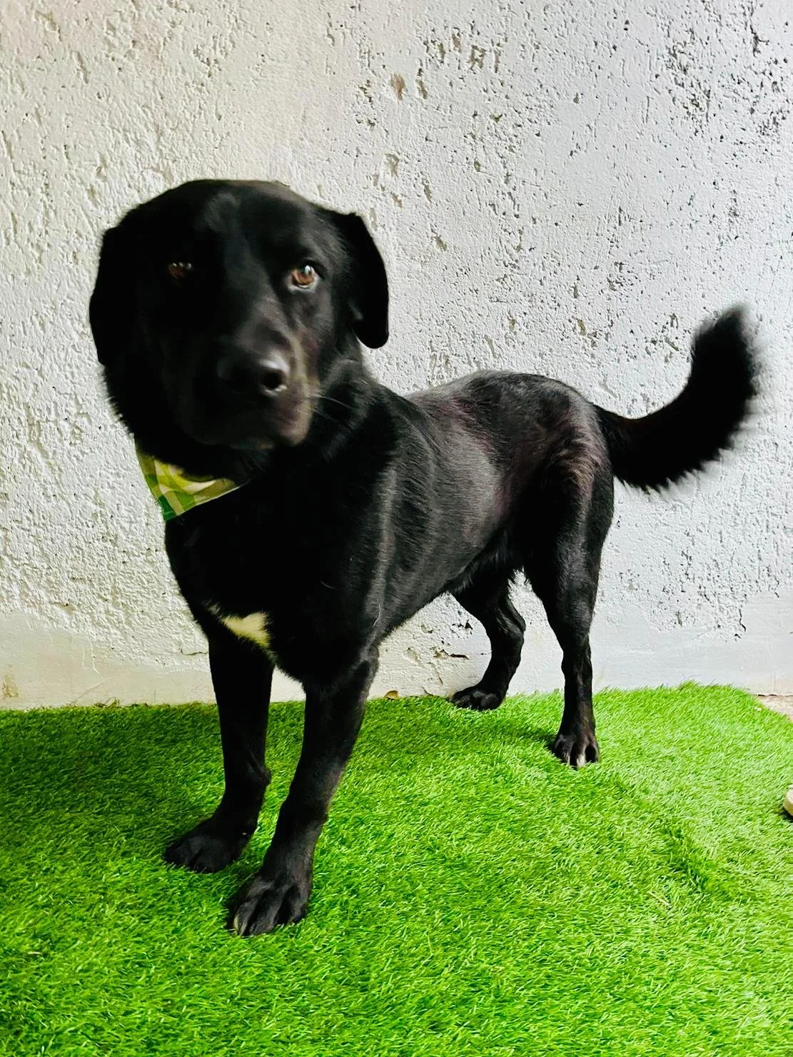 WhatsApp Image 2025-10-31 at 11.19.55 (1).jpeg