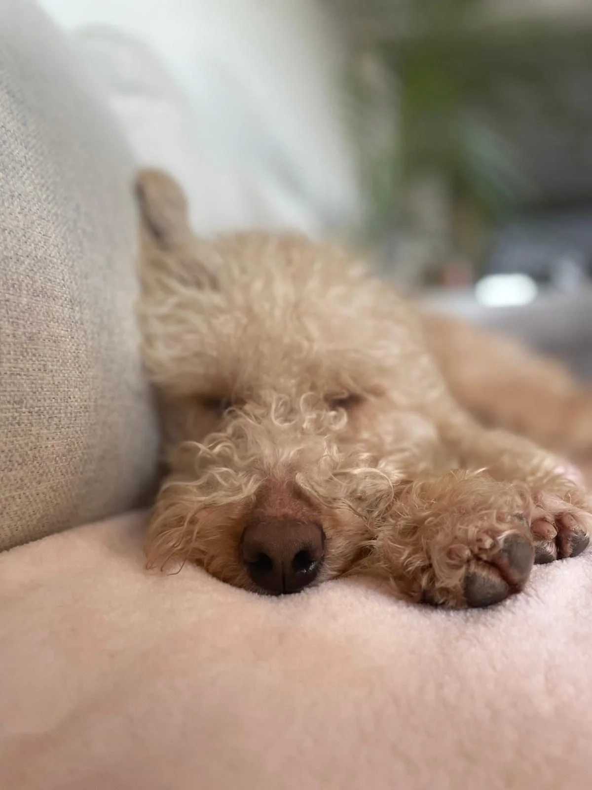 WhatsApp Image 2025-12-31 at 11.04.34 (3).jpeg