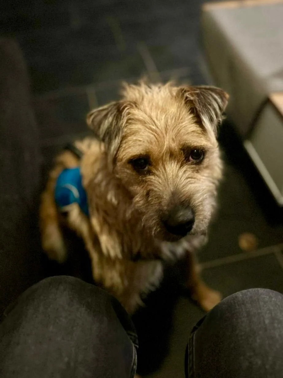 WhatsApp Image 2025-11-19 at 17.16.50 (1).jpeg