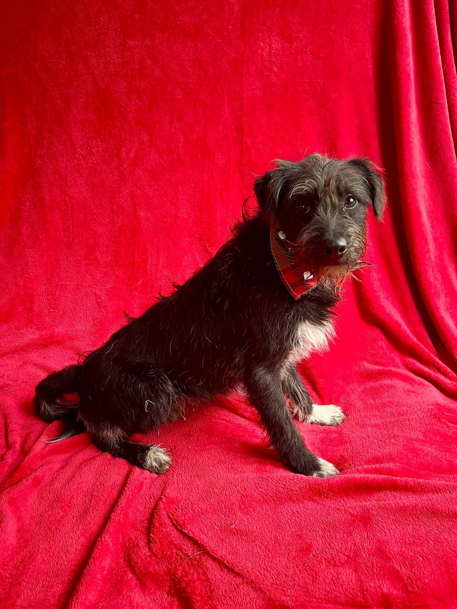 WhatsApp Image 2026-01-03 at 13.03.46 (1).jpeg