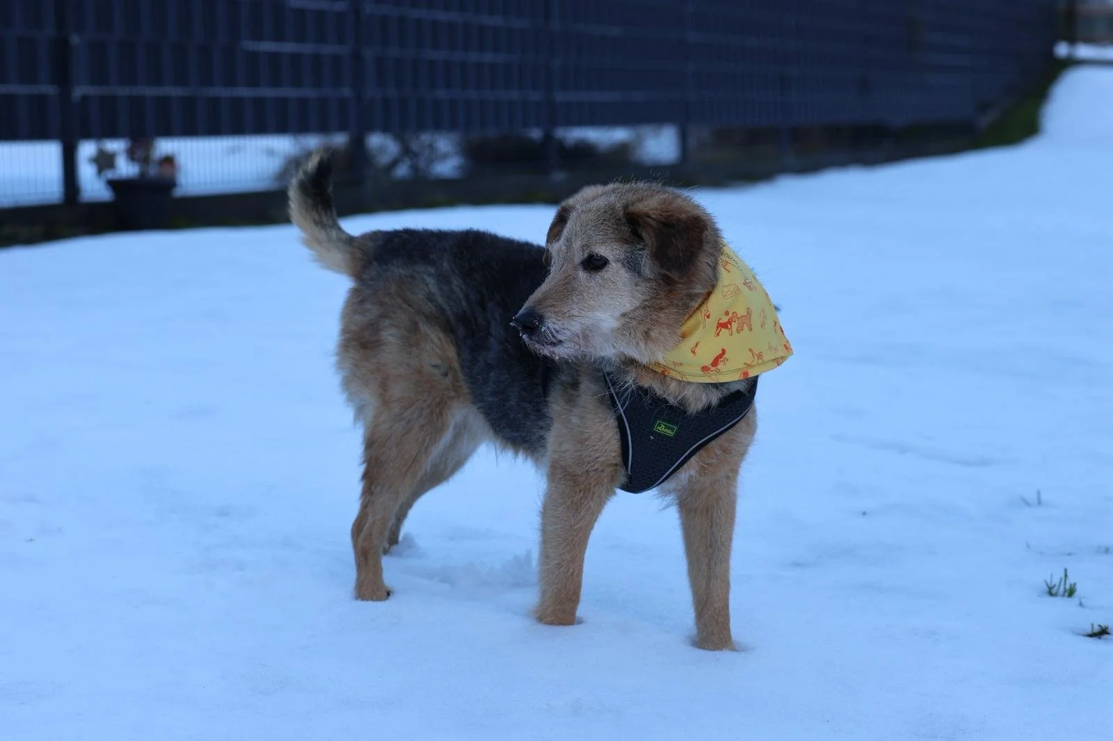 WhatsApp Image 2026-01-24 at 19.38.53 (3).jpeg