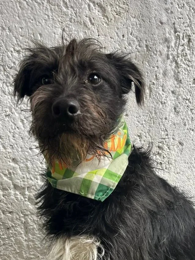 WhatsApp Image 2026-01-03 at 13.03.41.jpeg