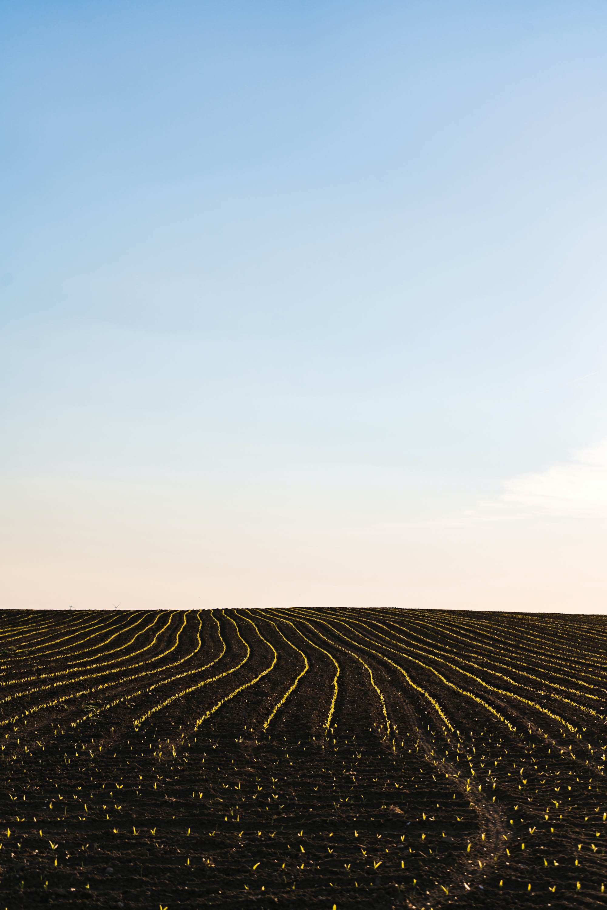 Coppelian Capital Ventures invests in major agribusiness venture