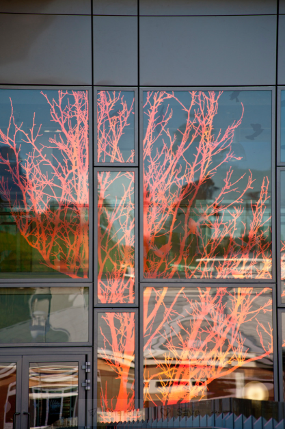 Large-scale Architectural Glass