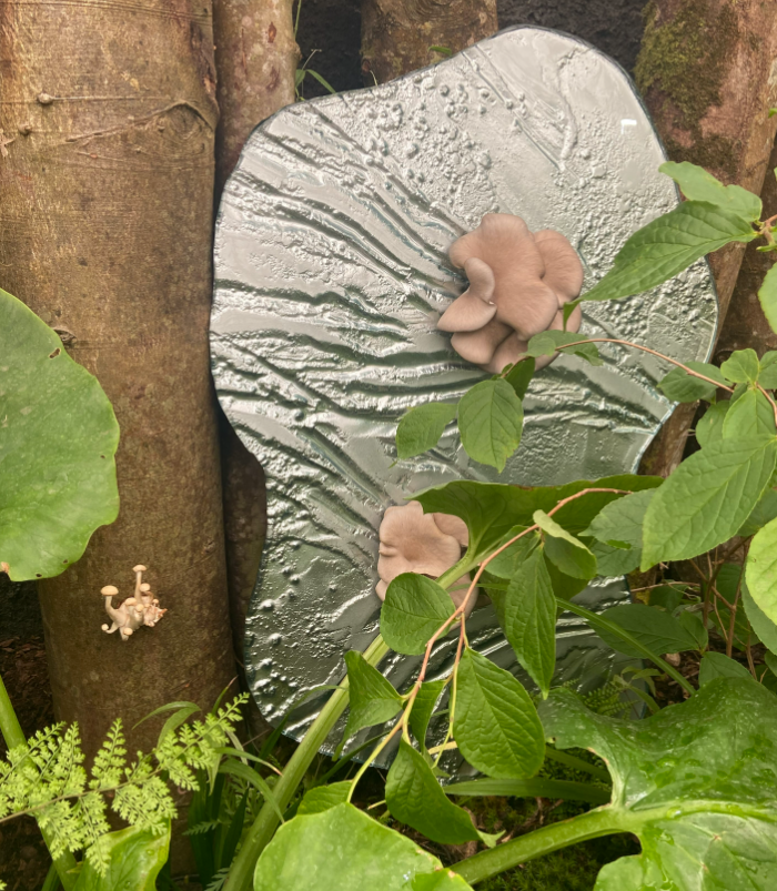 Slumped metallic glass for Manon Awst's RHS Chelsea Flower Show sculpture 