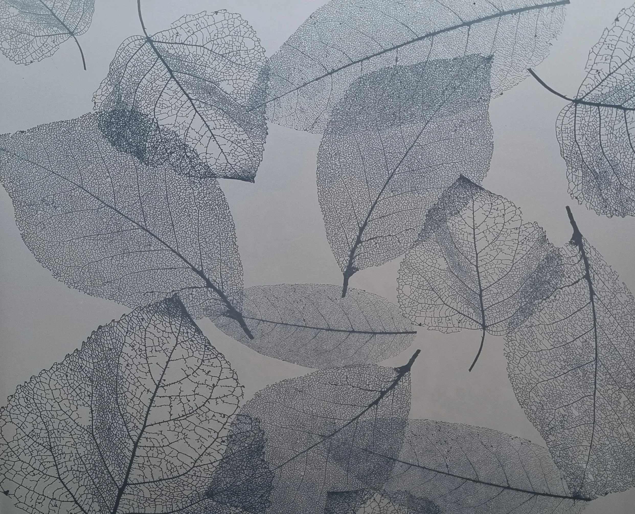 bespoke interior glass