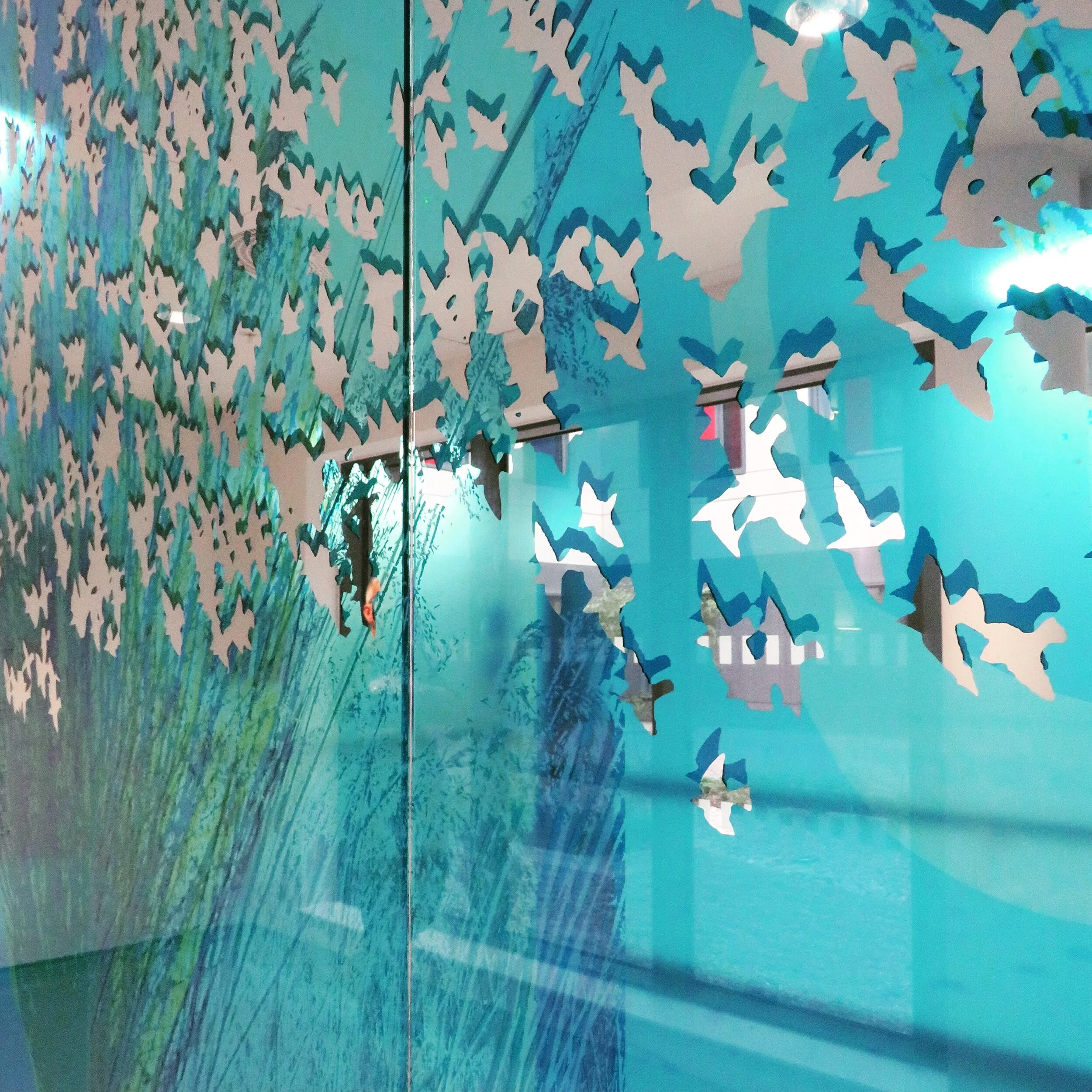 Grange Hospital, Llanfrechfa, Cwmbran. Permanent transparent and mirror printing to  decorative hospital screens