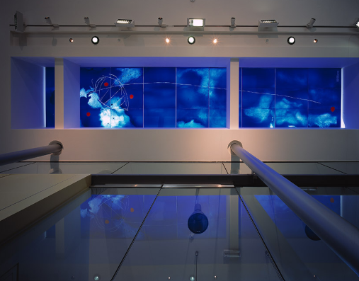 South Hill Park Arts Centre rooflight