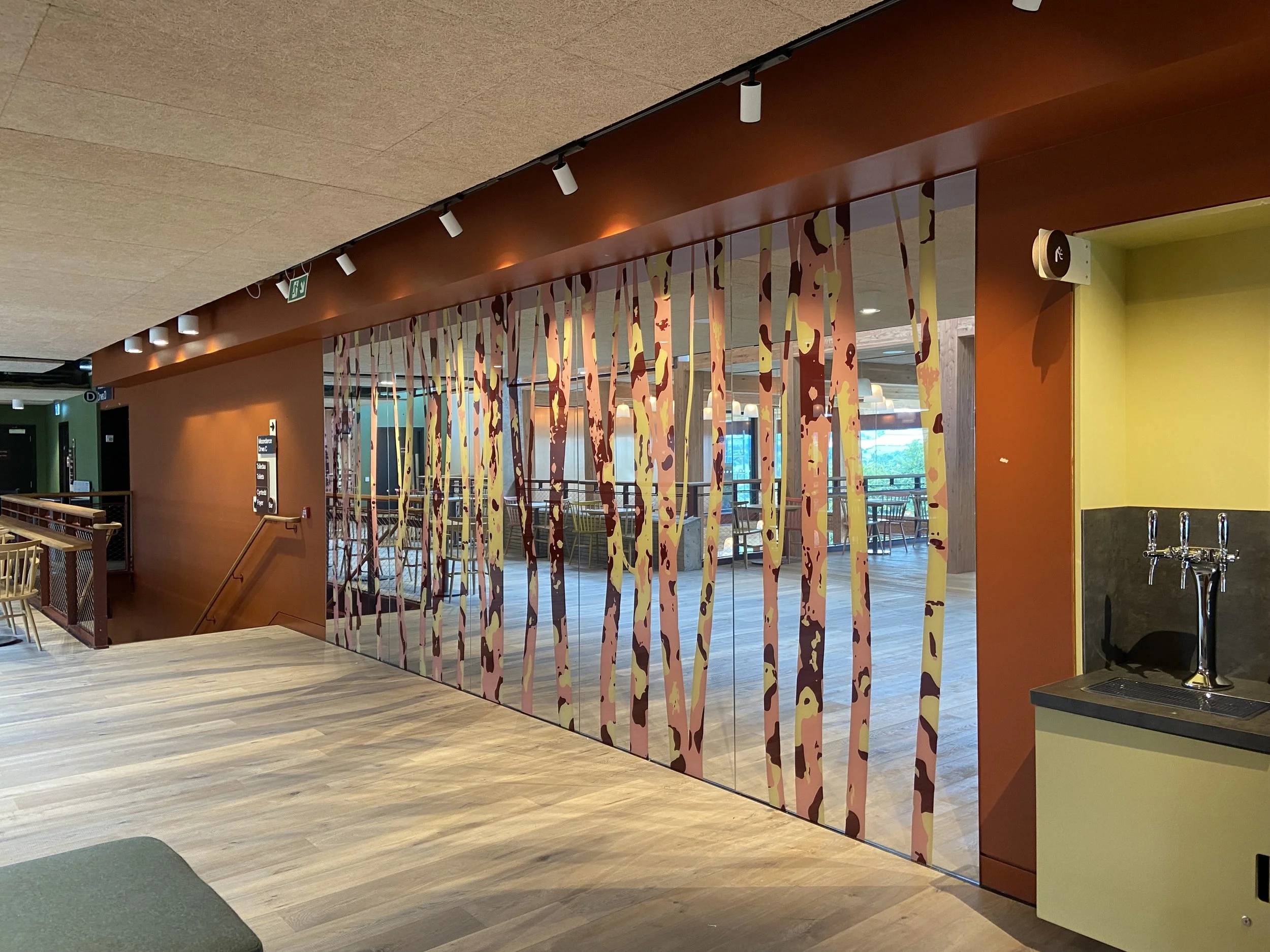 printed colour mirror