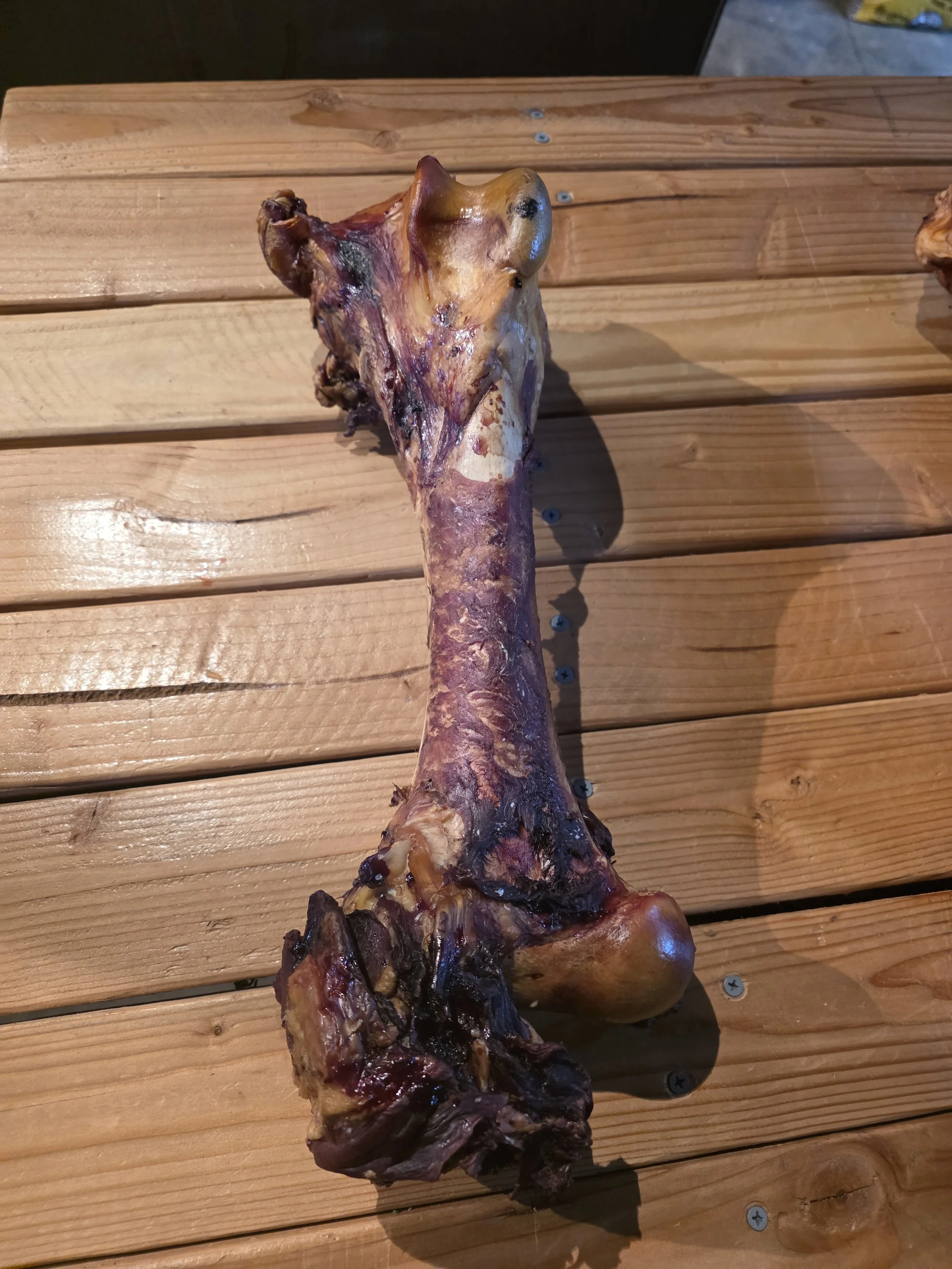 Premium Smoked Femur Dog Bone