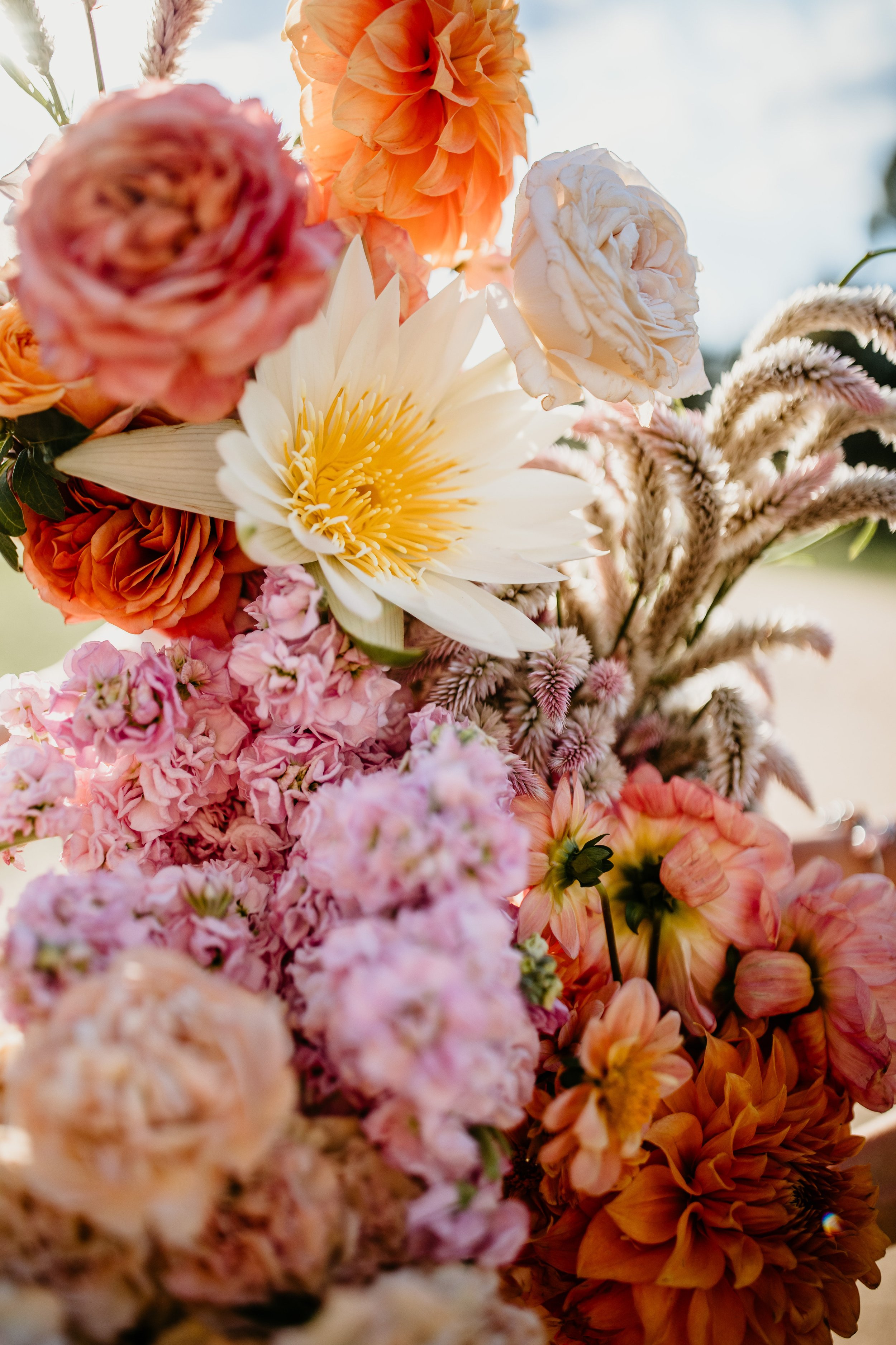 Judah Rose | Wedding Florist | Bendigo Wedding Florist