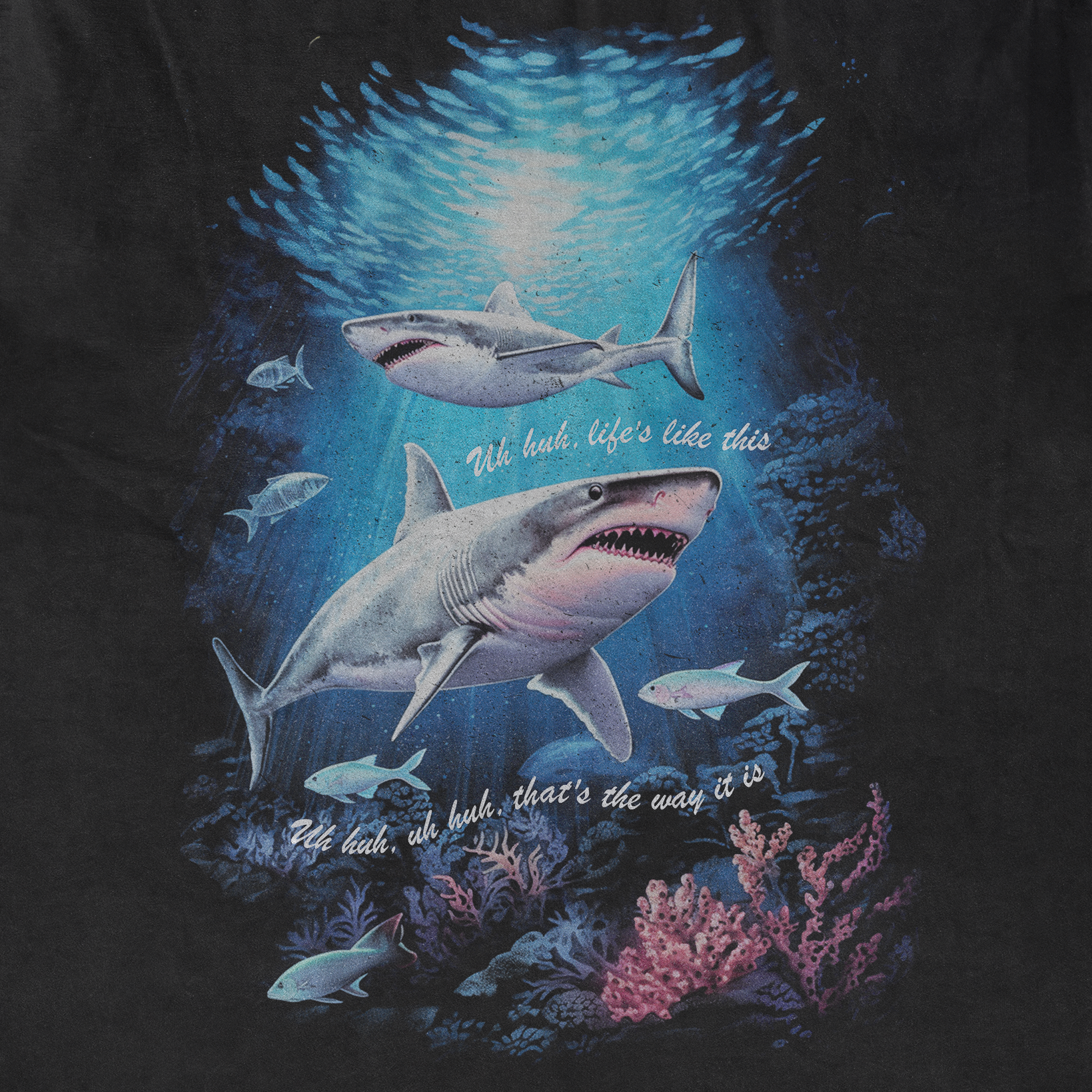sharks IG 2.png