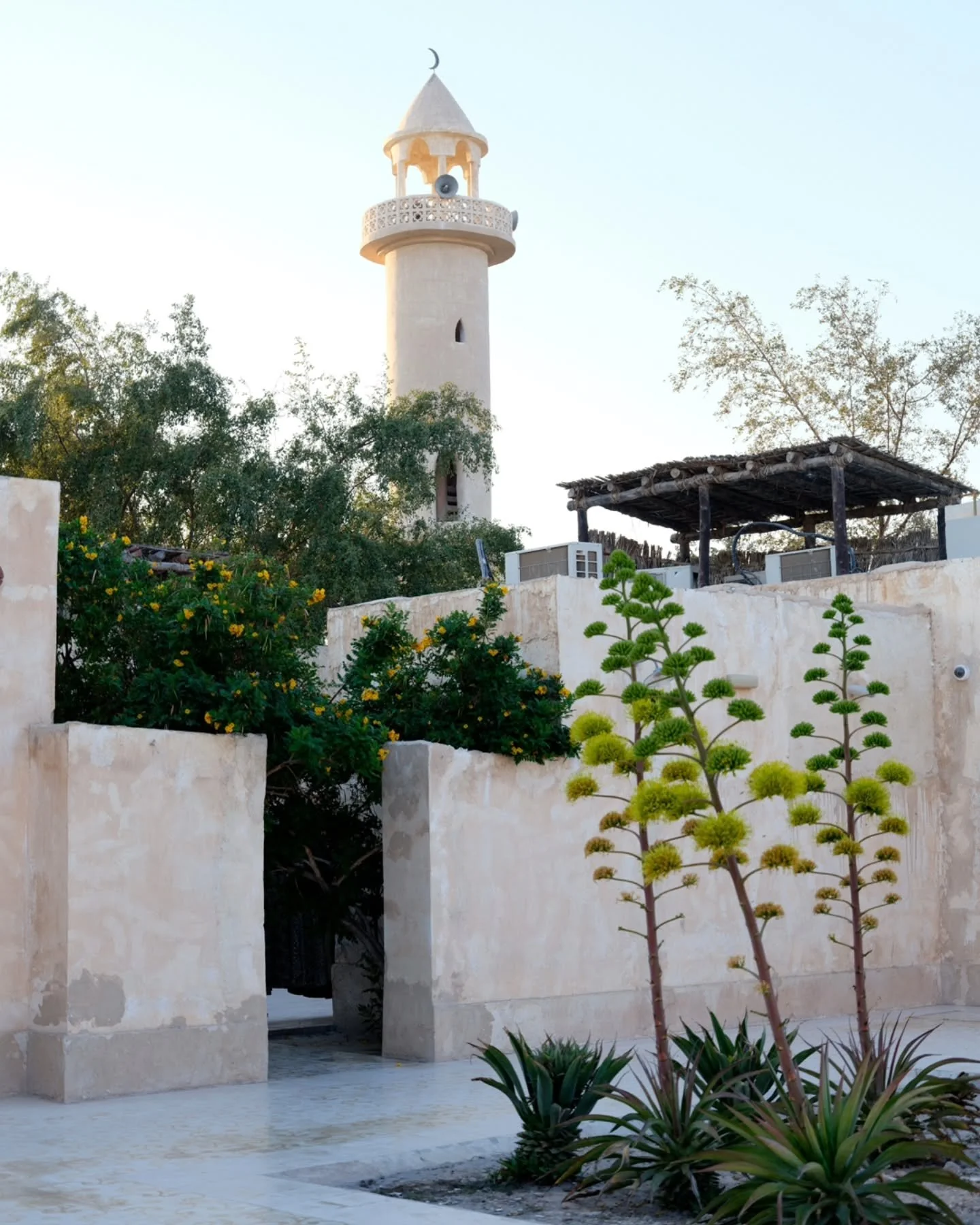 On the morning that I went out to explore the maze that forms the Souq of Al Wakra, I woke up in a way that I will always rememeber. I remember I was dreaming, I was with a dear friend but we were in a discussion, it was sad and upsetting. As she lef