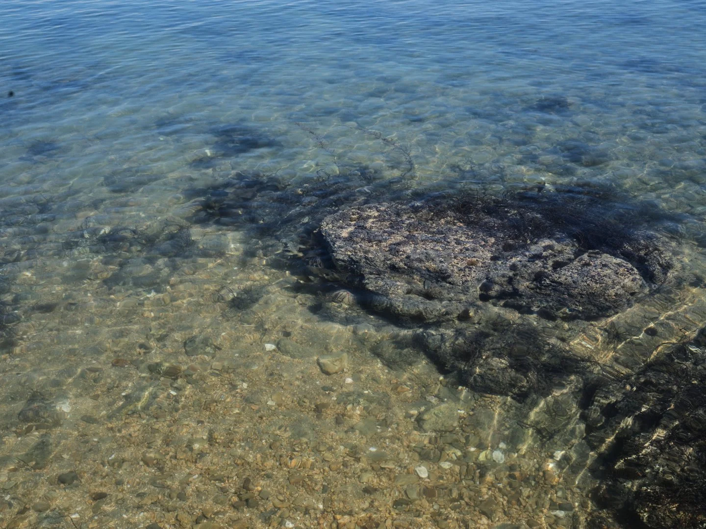 MCL_Japan-selection2026_137.jpg
