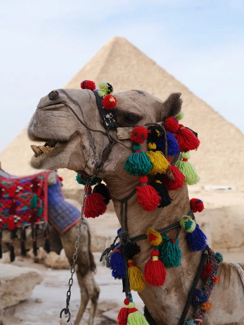 MCL_Cairo-Cityscapes_2026-15.jpg