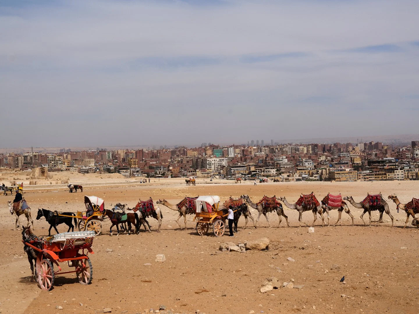 MCL_Cairo-Cityscapes_2026-6.jpg