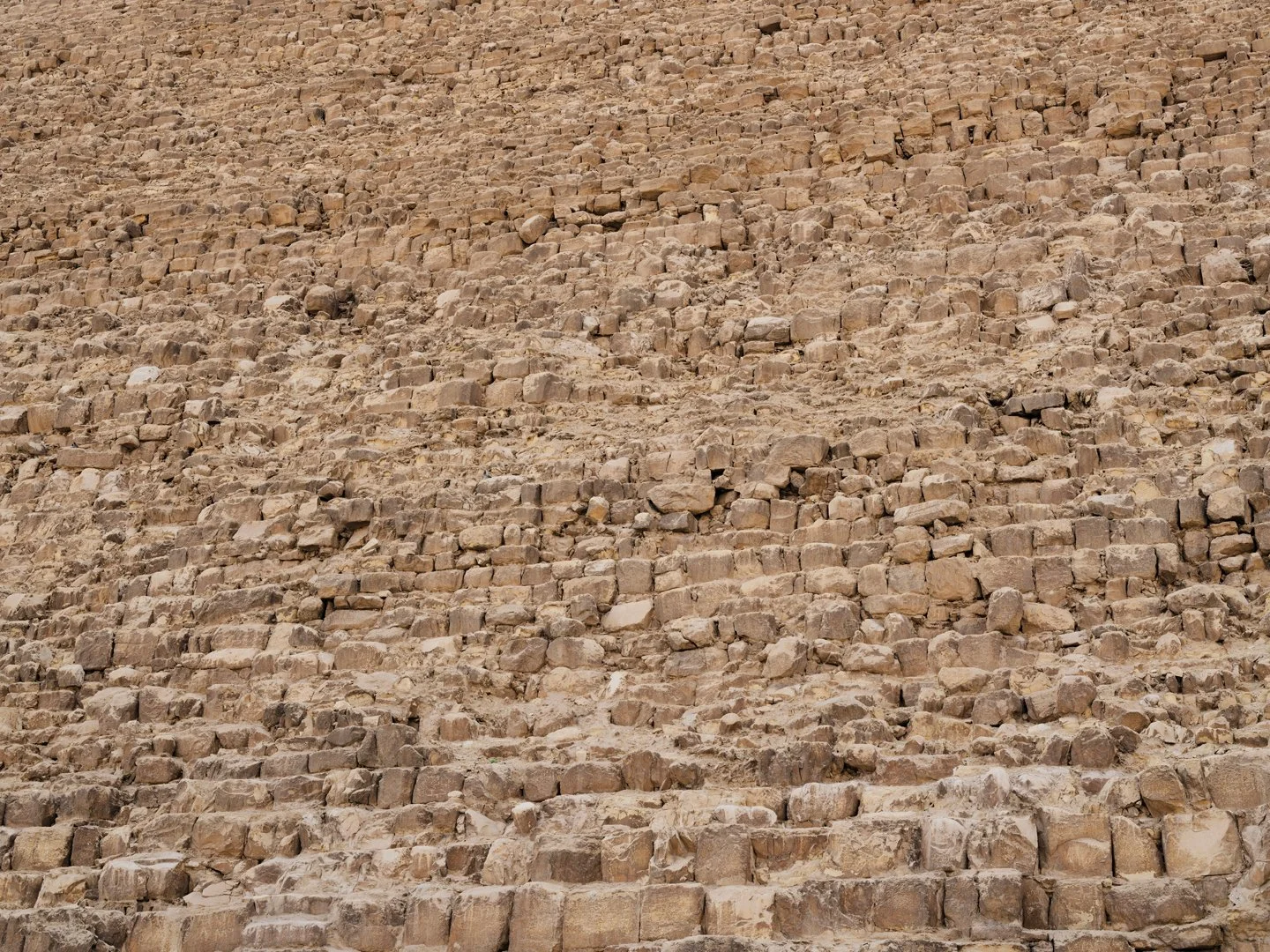 MCL_Cairo-Cityscapes_2026-10.jpg
