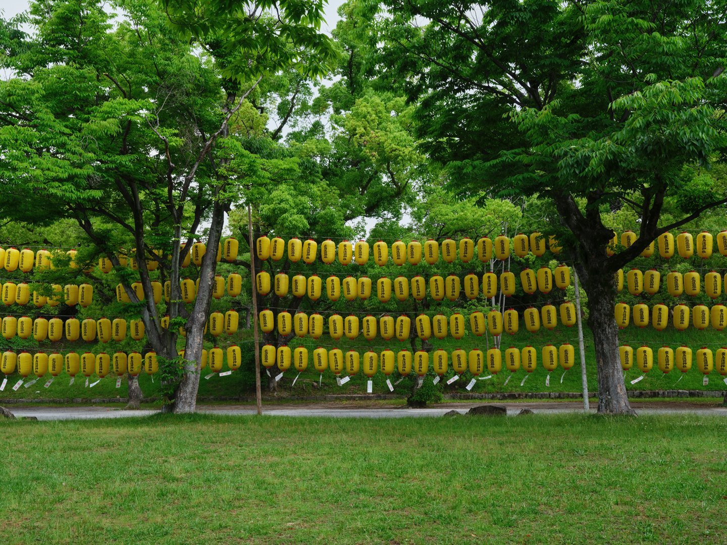 MCL_Japan-selection2026_3.jpg